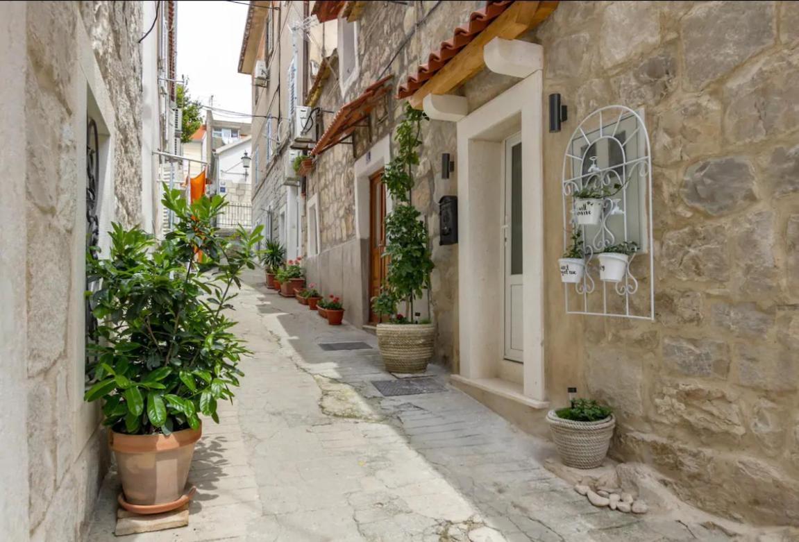 New!!! Deluxe Dino In The Old Town Of Split