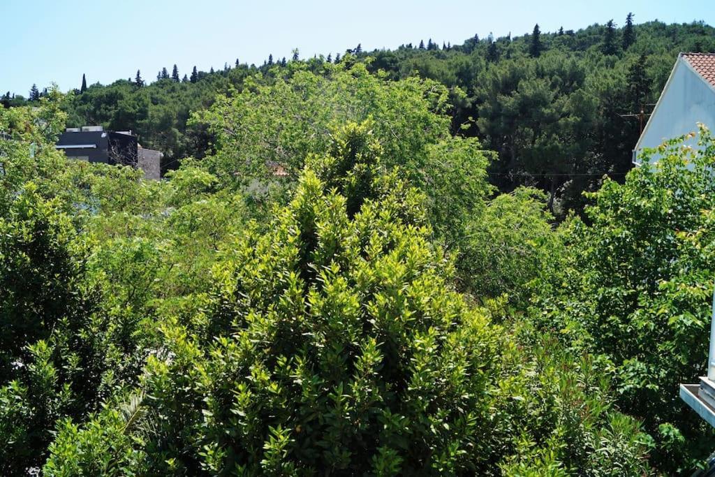Forest Park Nest Apartment, Near Centre, With Free Parking