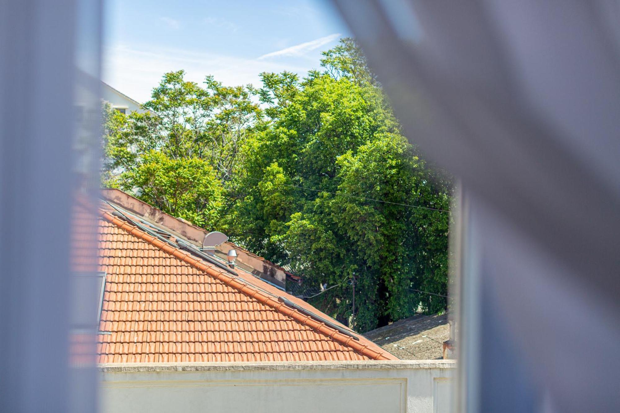 Satureja Montana Apartman Split