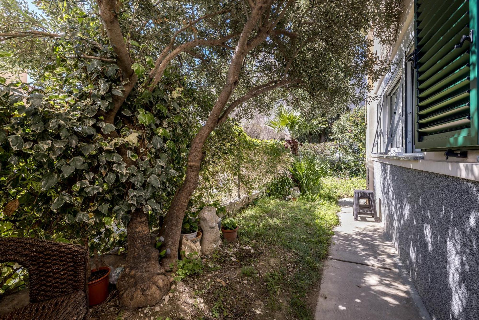 Olive Shade - Near The Beach Apartment Split