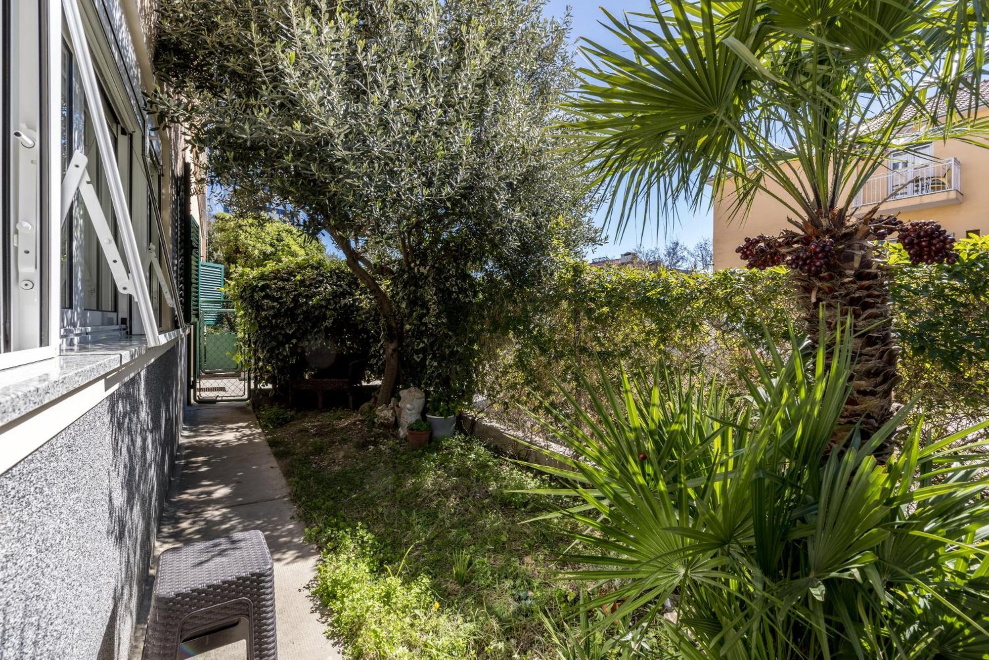 Olive Shade - Near The Beach * Split