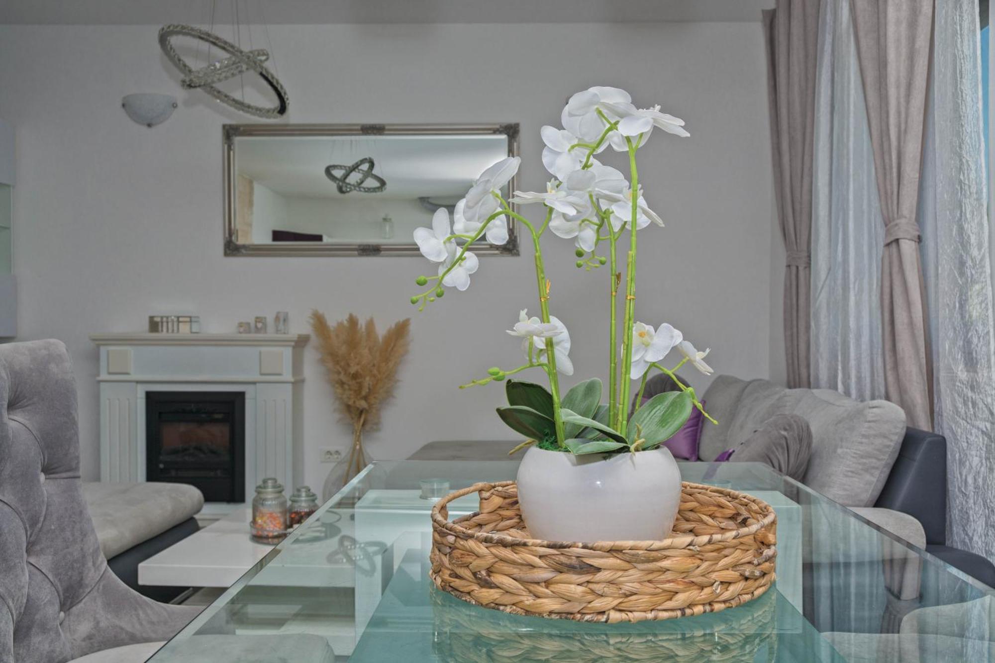 Anachi Apartment *