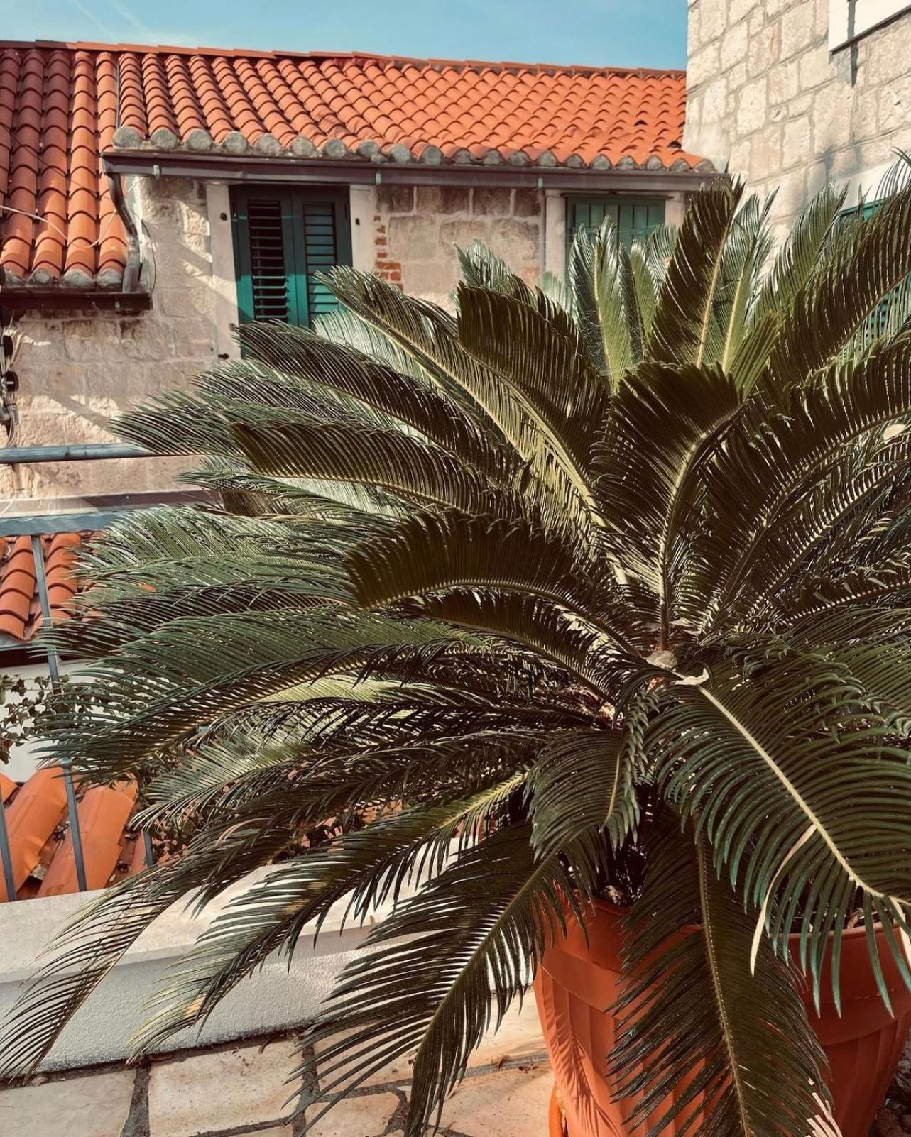 Saint Lucas Apartamento