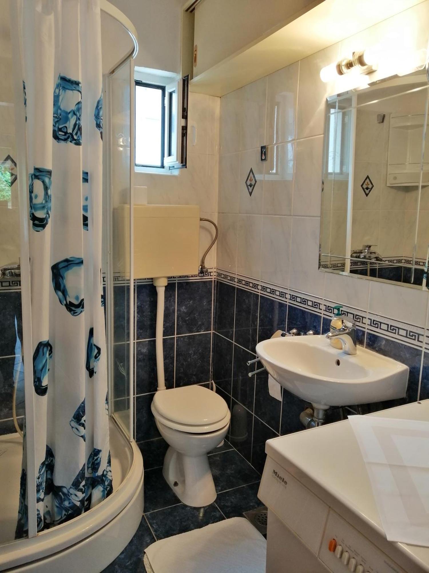 Apartment Dzoni *