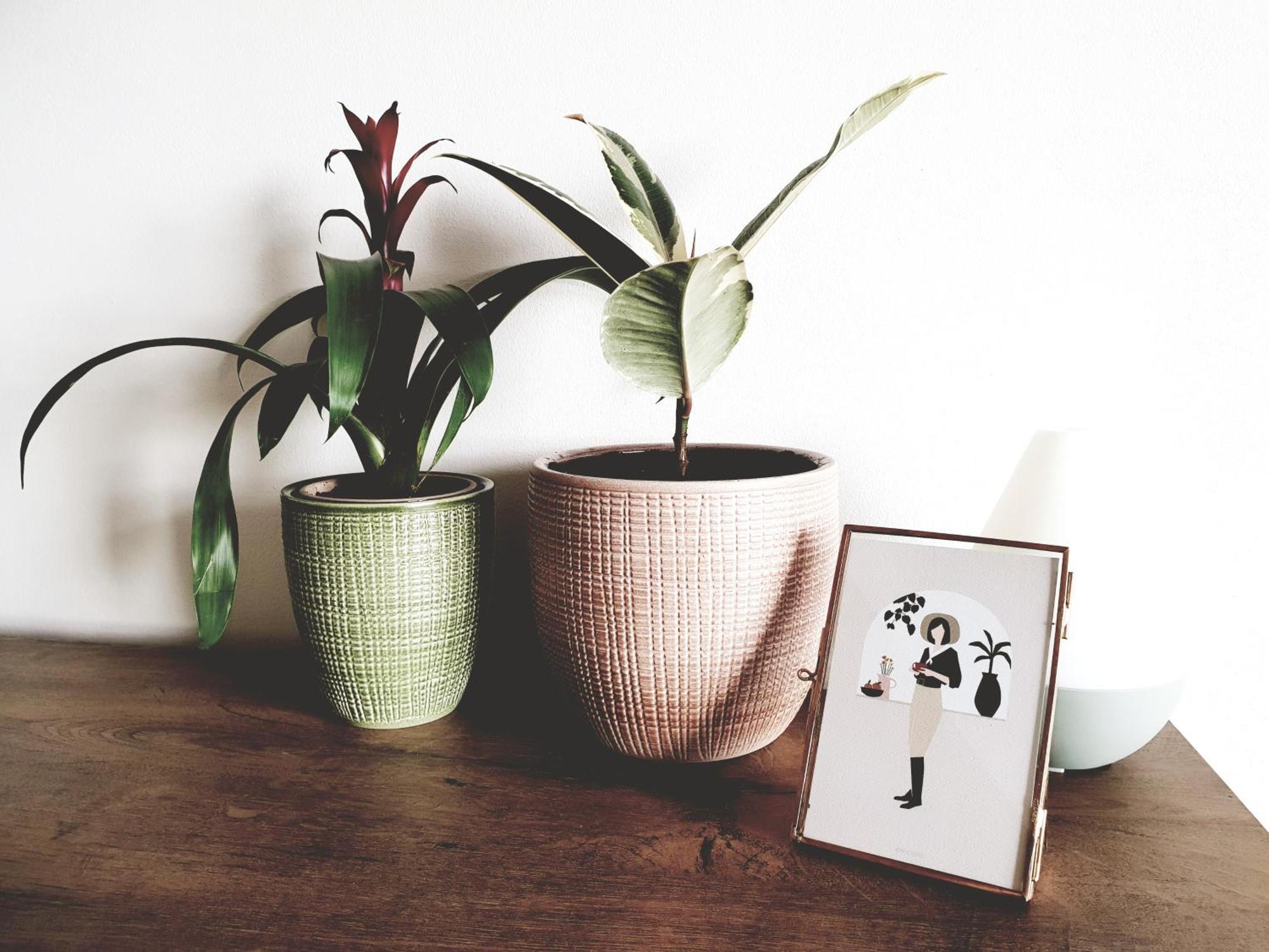 Apartment Modern Boho Split