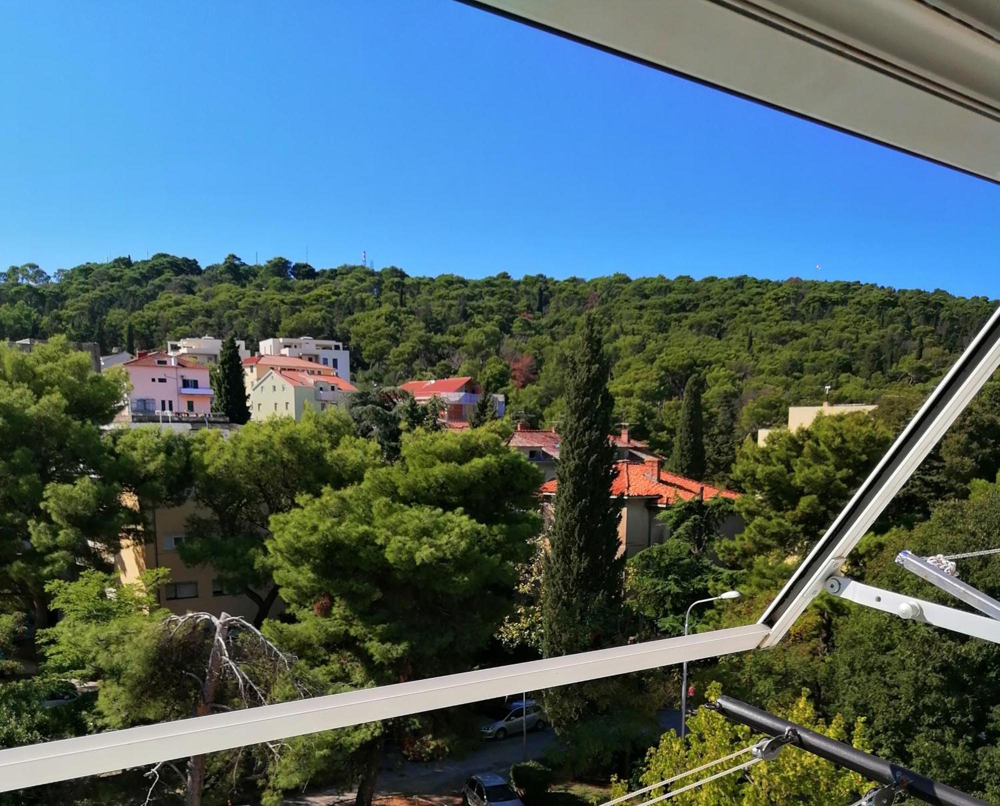 Apartment Sunny Split