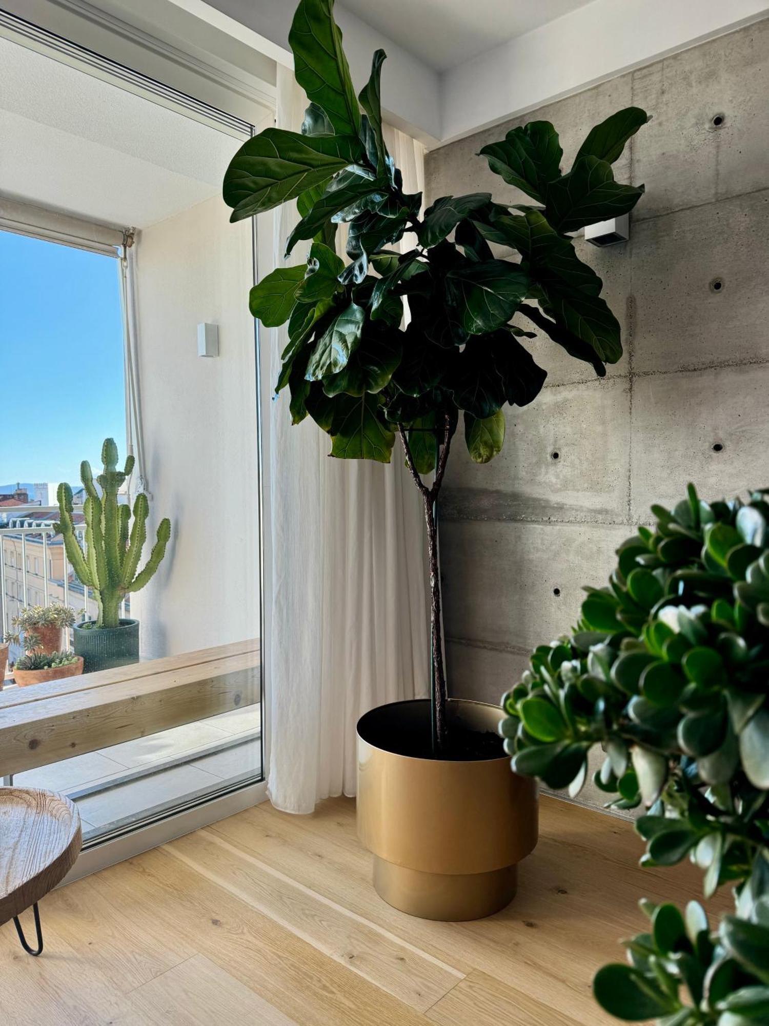 D'art Penthouse * Split