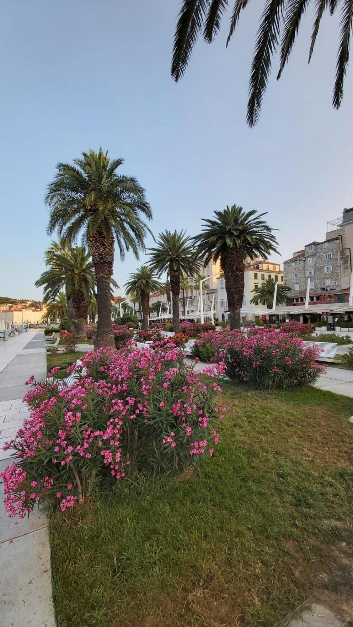 Appartement Farfalla Split