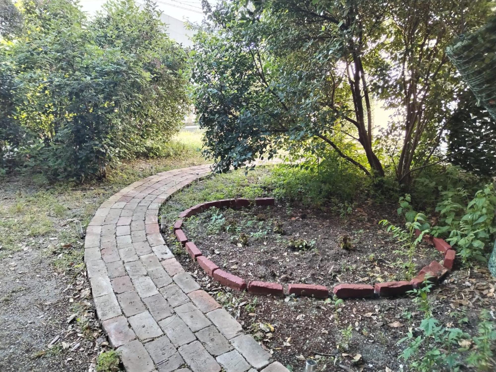 Garden In The Center Apartment *