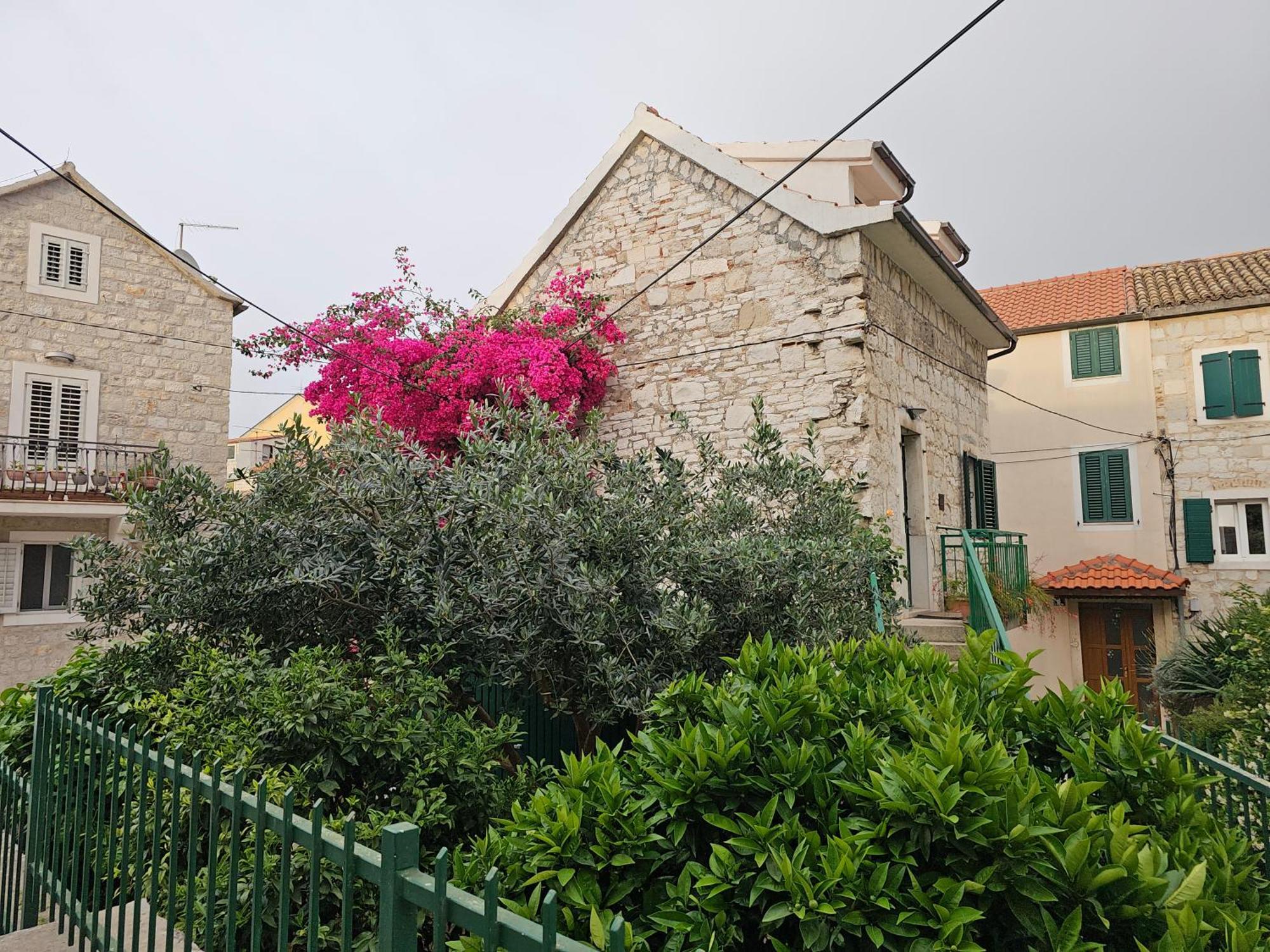 Apartment Franicevic Split
