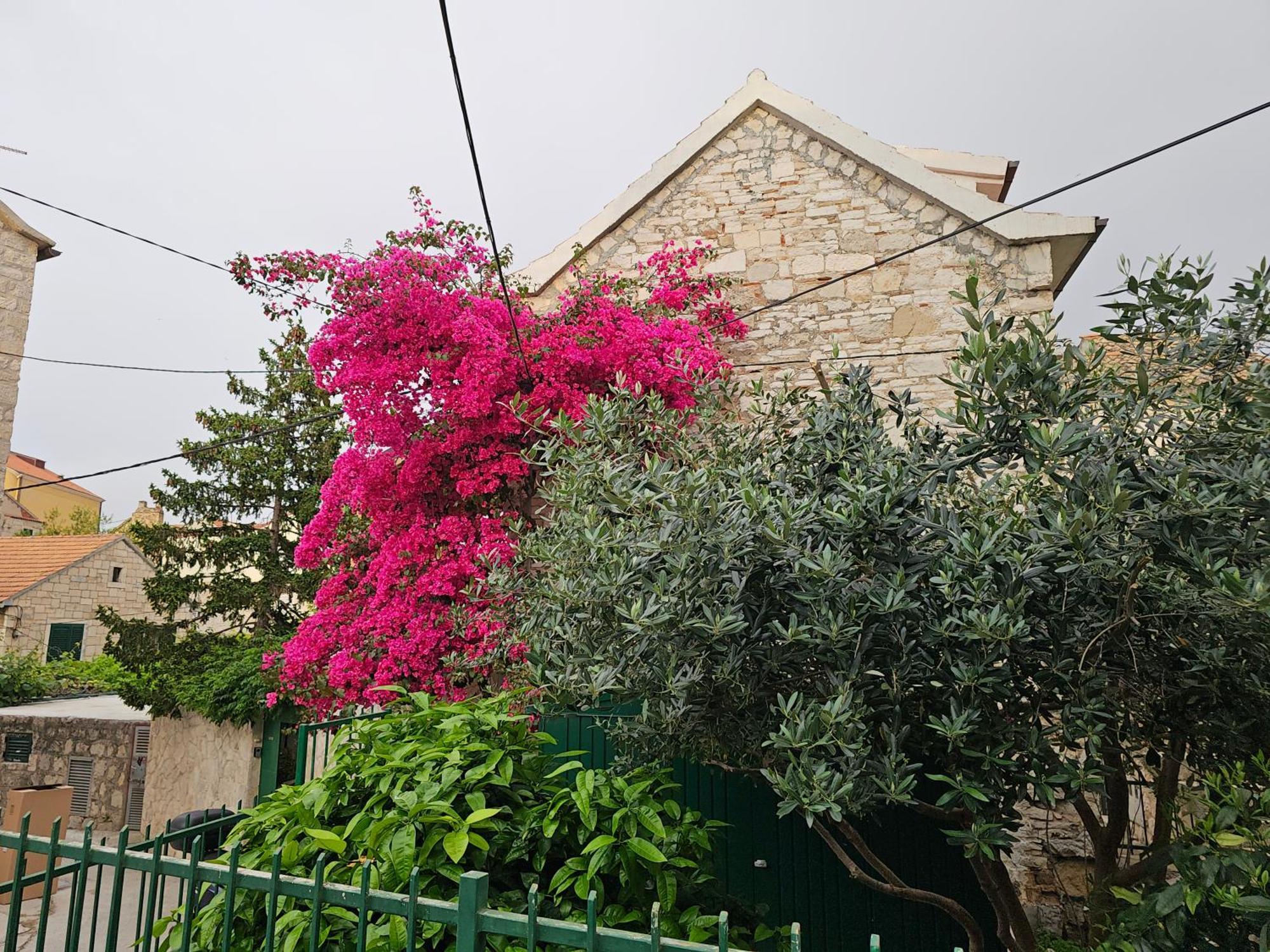 Apartment Franicevic Split