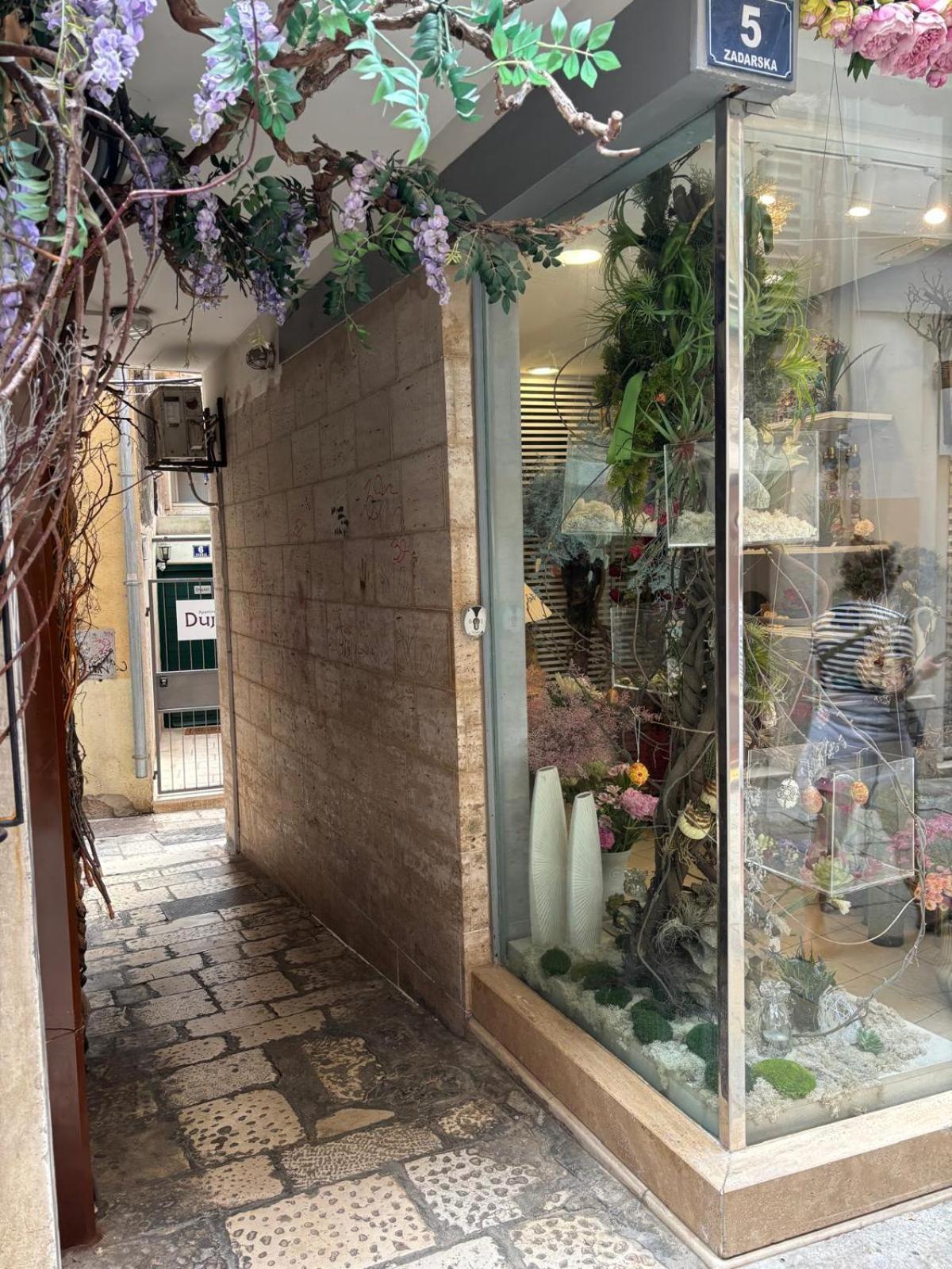 Apartman Ante - Diocletian's Palace