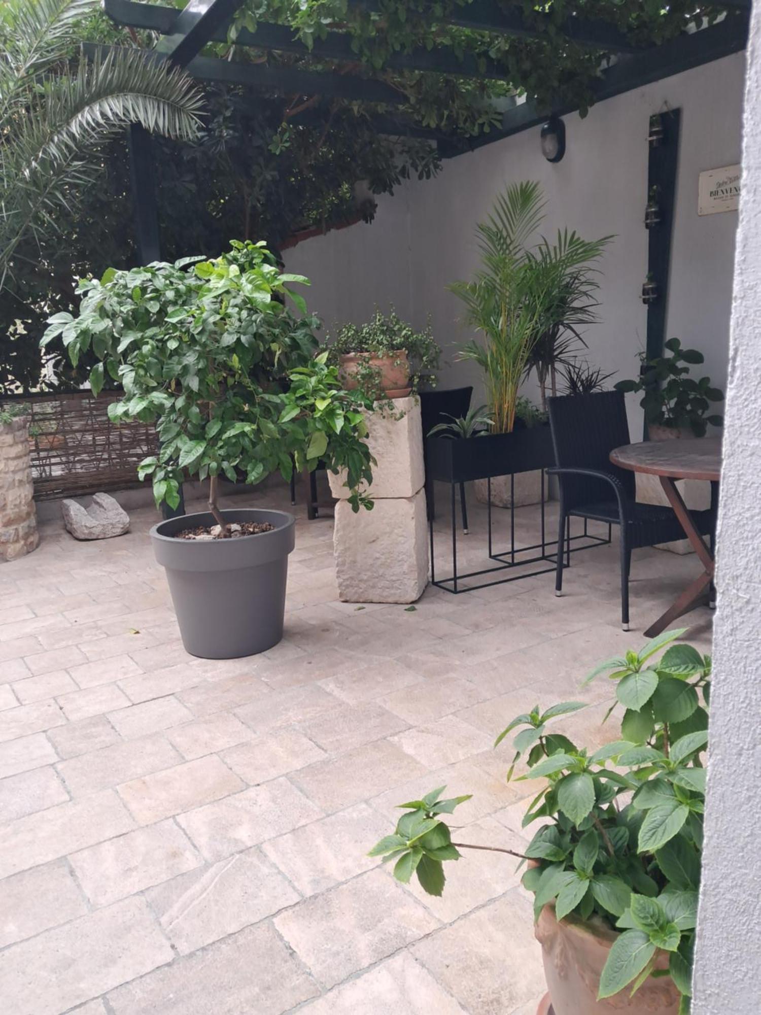 Oaza Appartement