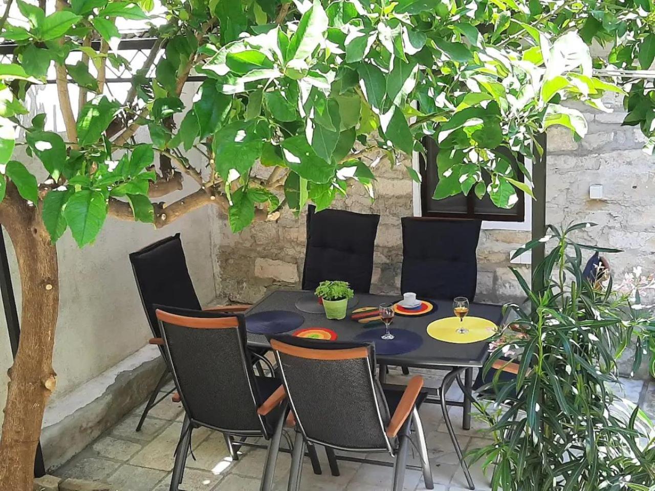Green Oasis In The Heart Of Apartment *