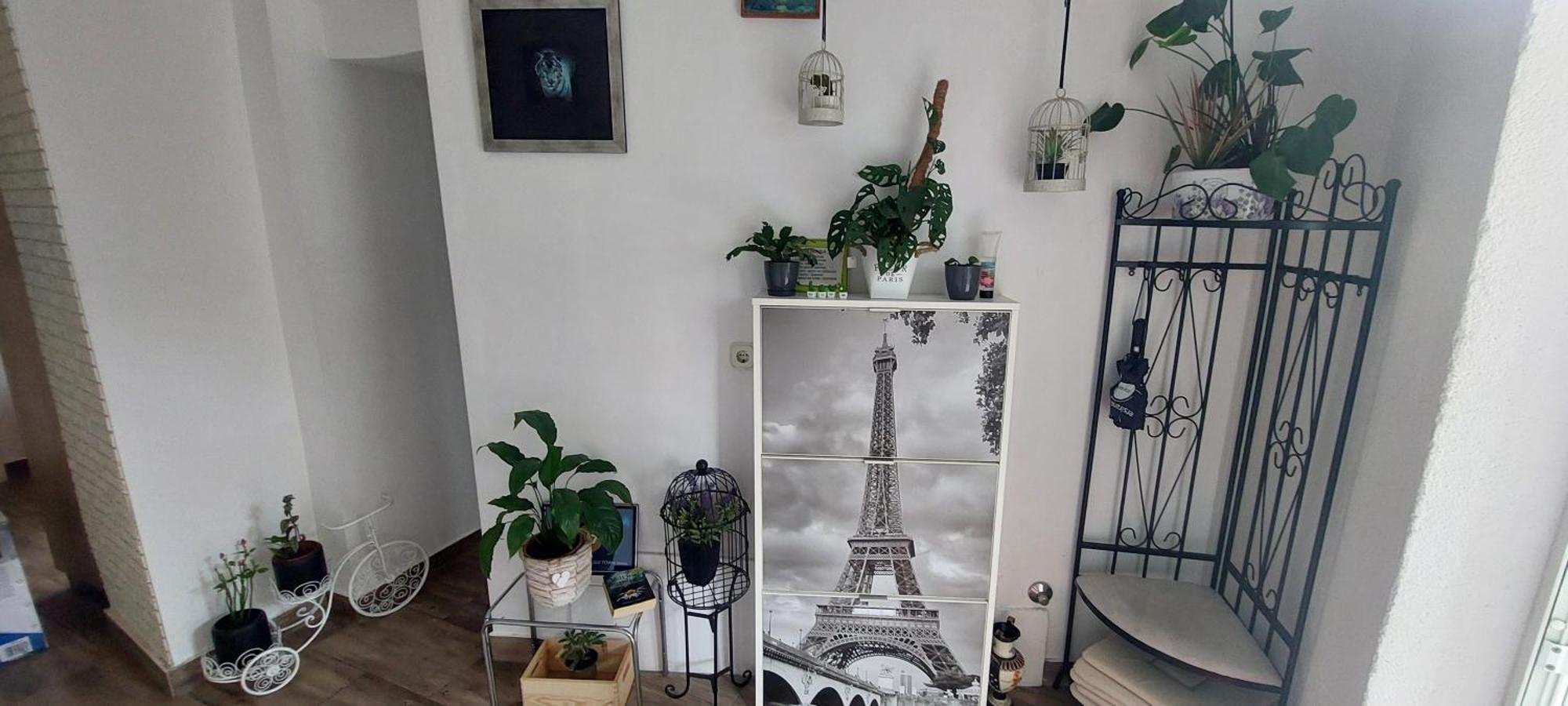 Old Town Sole Apartment *