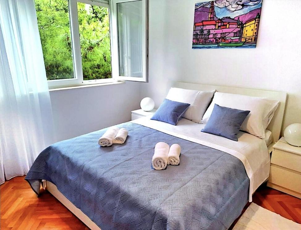 Sweet Pine Dream Apartment