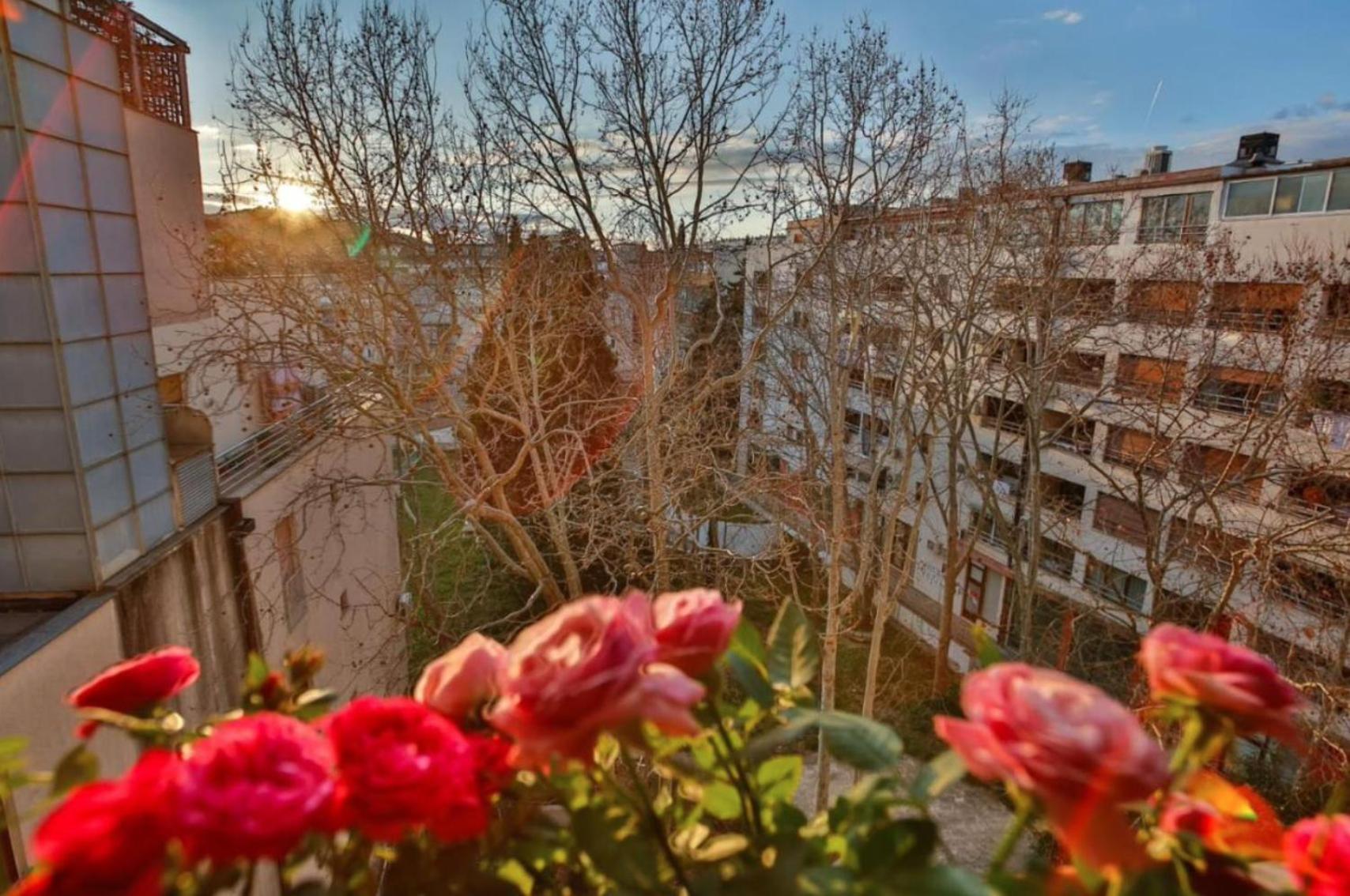 Bel Canto Split
