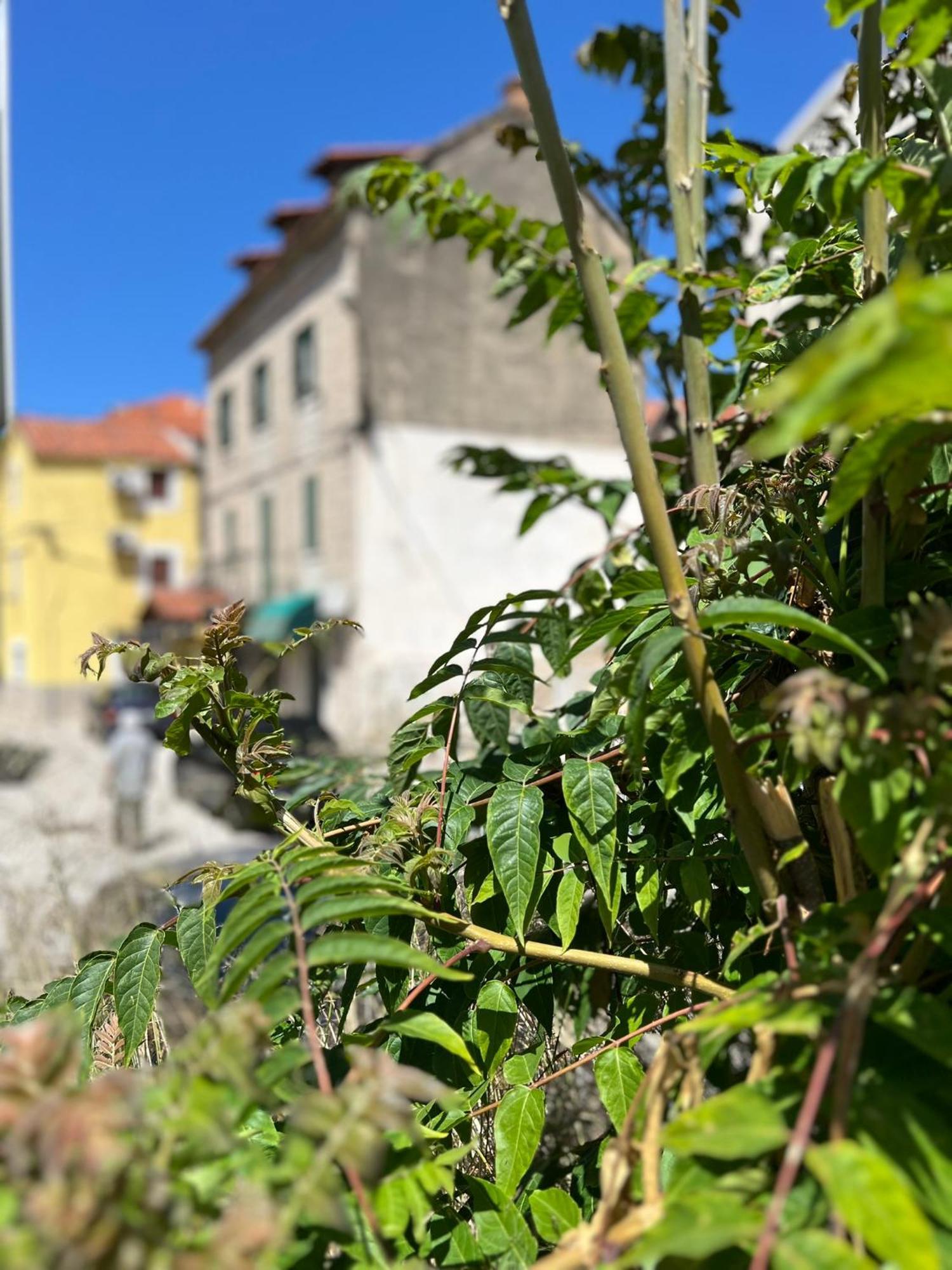 Apartment Fonte