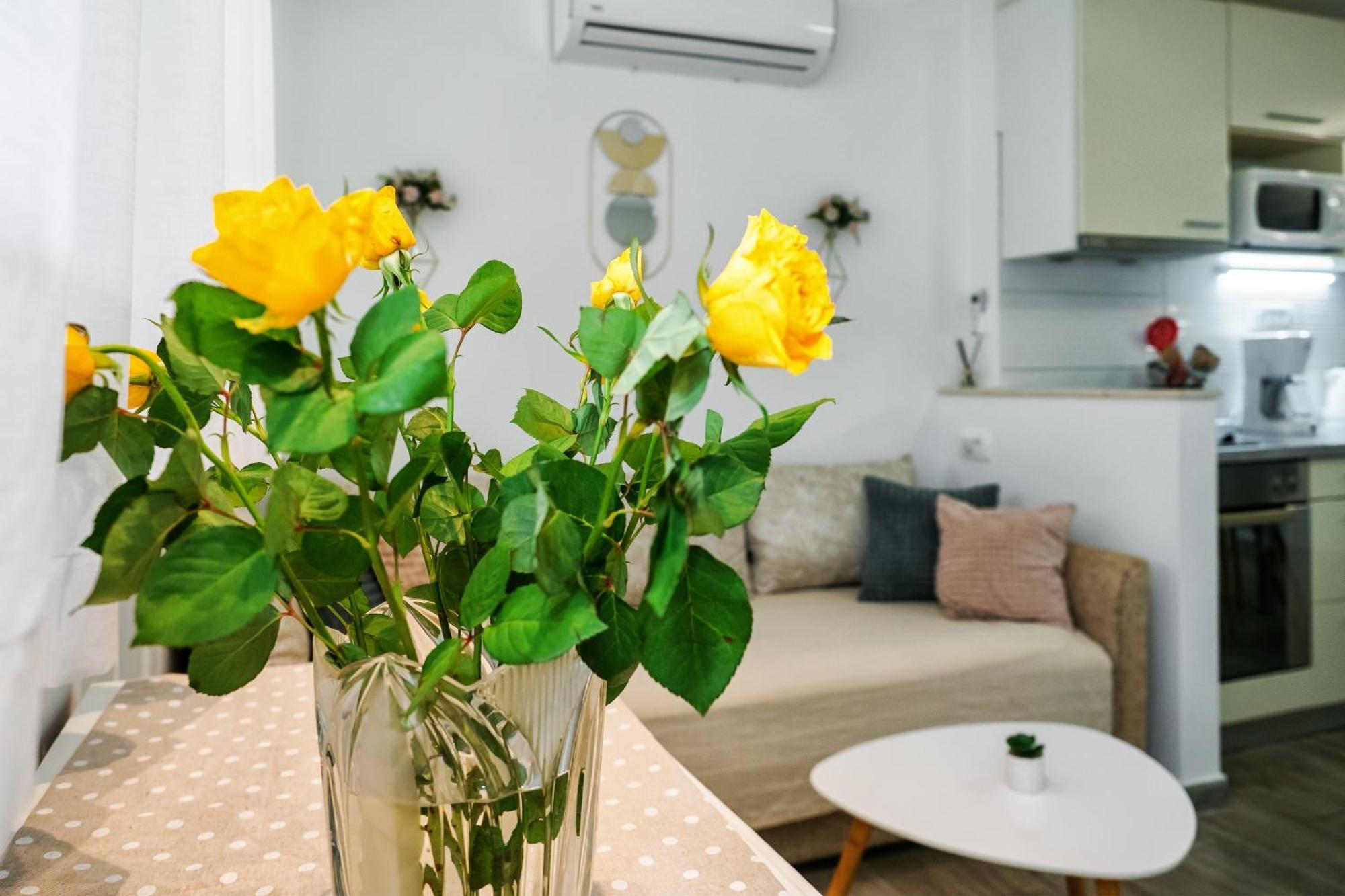 Oasis Apartamento Split