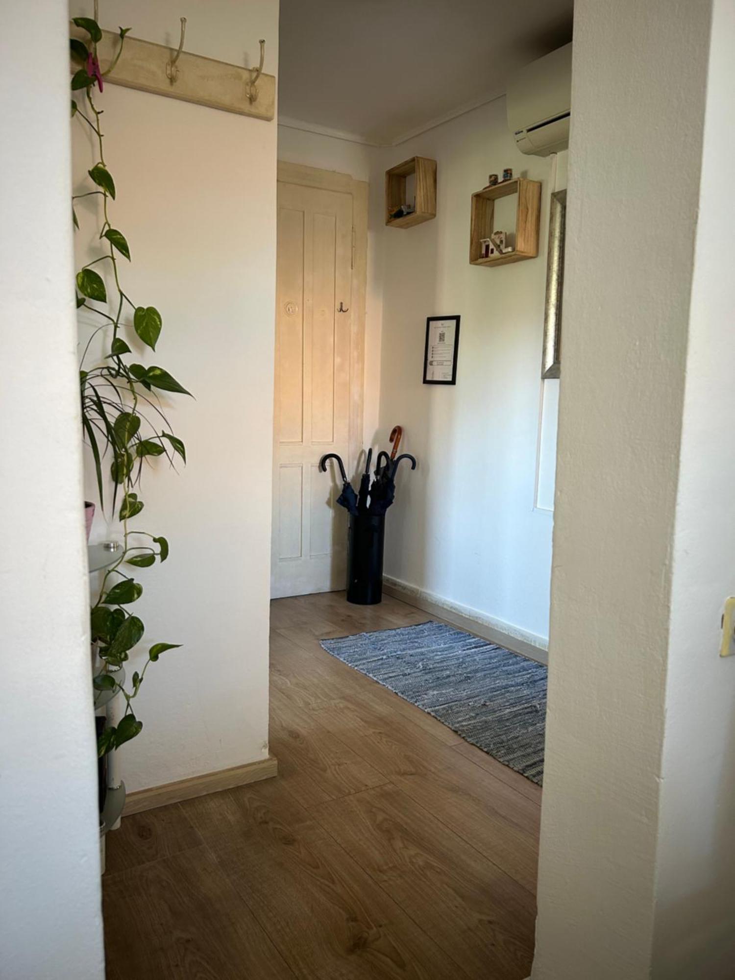 Bacvice Experience Apartment *