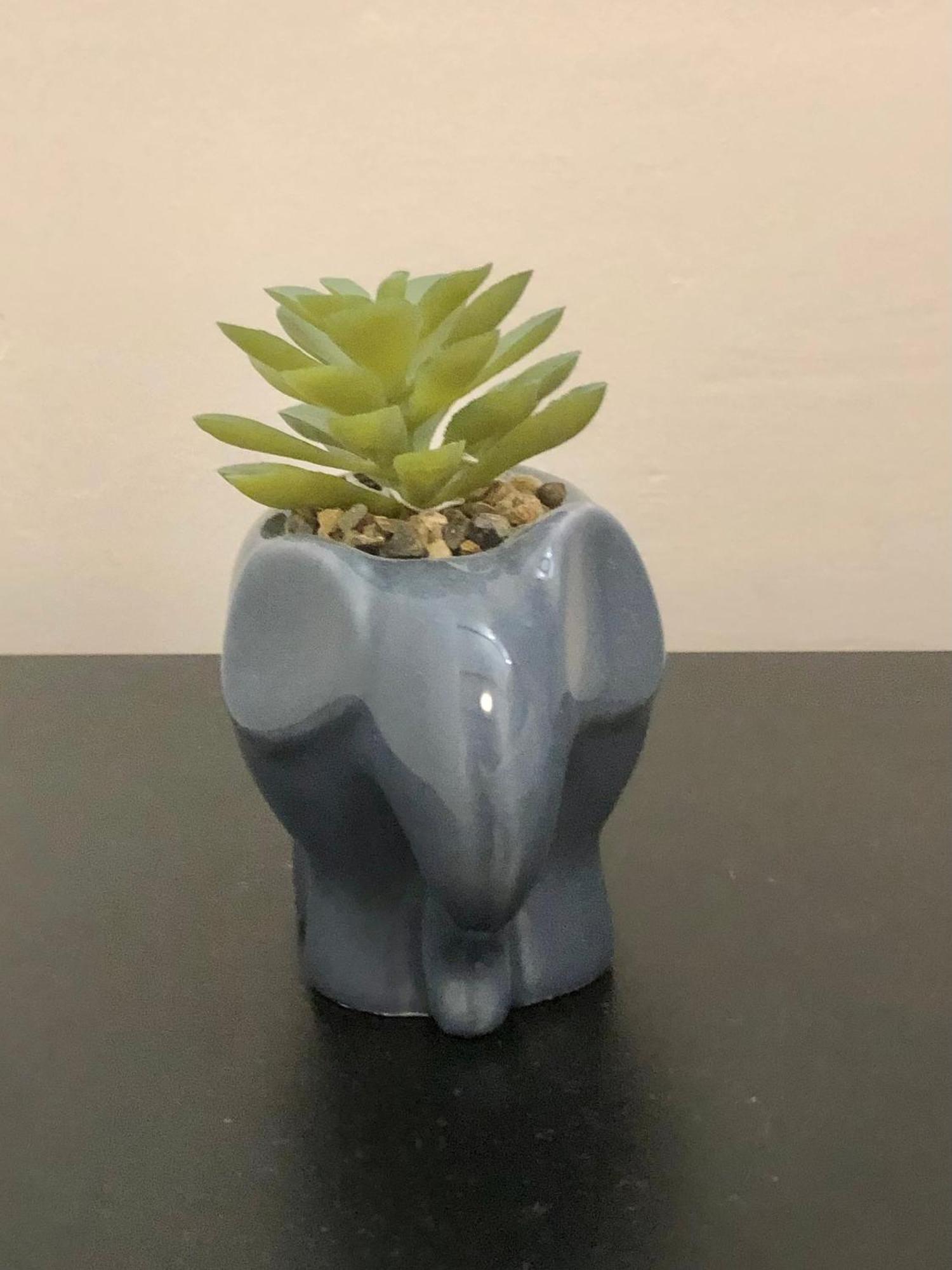 Apartment Blue Moon