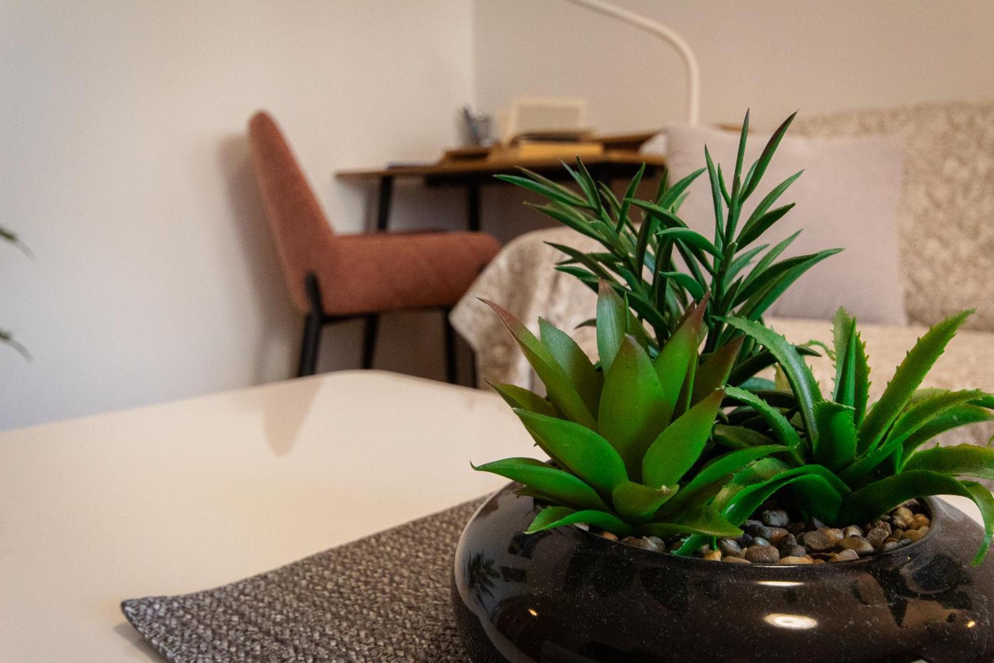 Large Stylish Ankica,free Public Parking Apartment