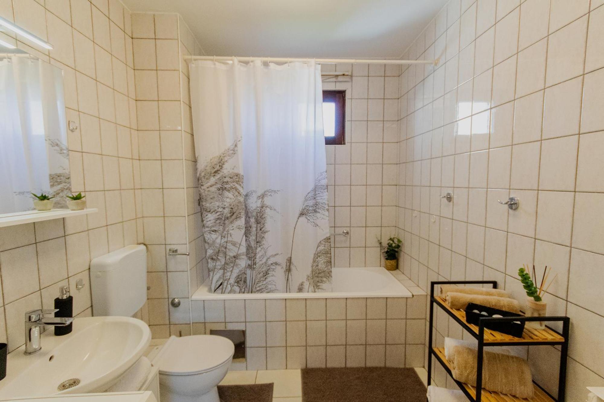 Apartment Large Stylish Ankica,free Public Parking