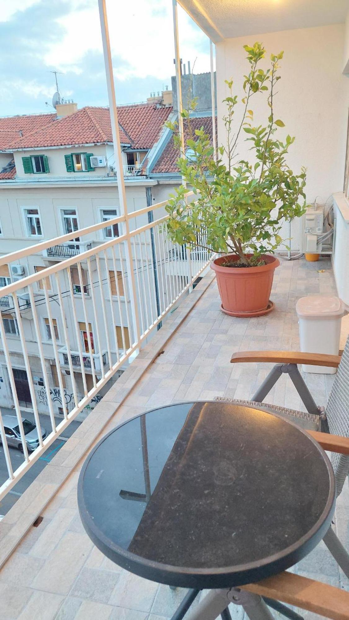 With Private Toilet And Terrace In Center In Shared Split