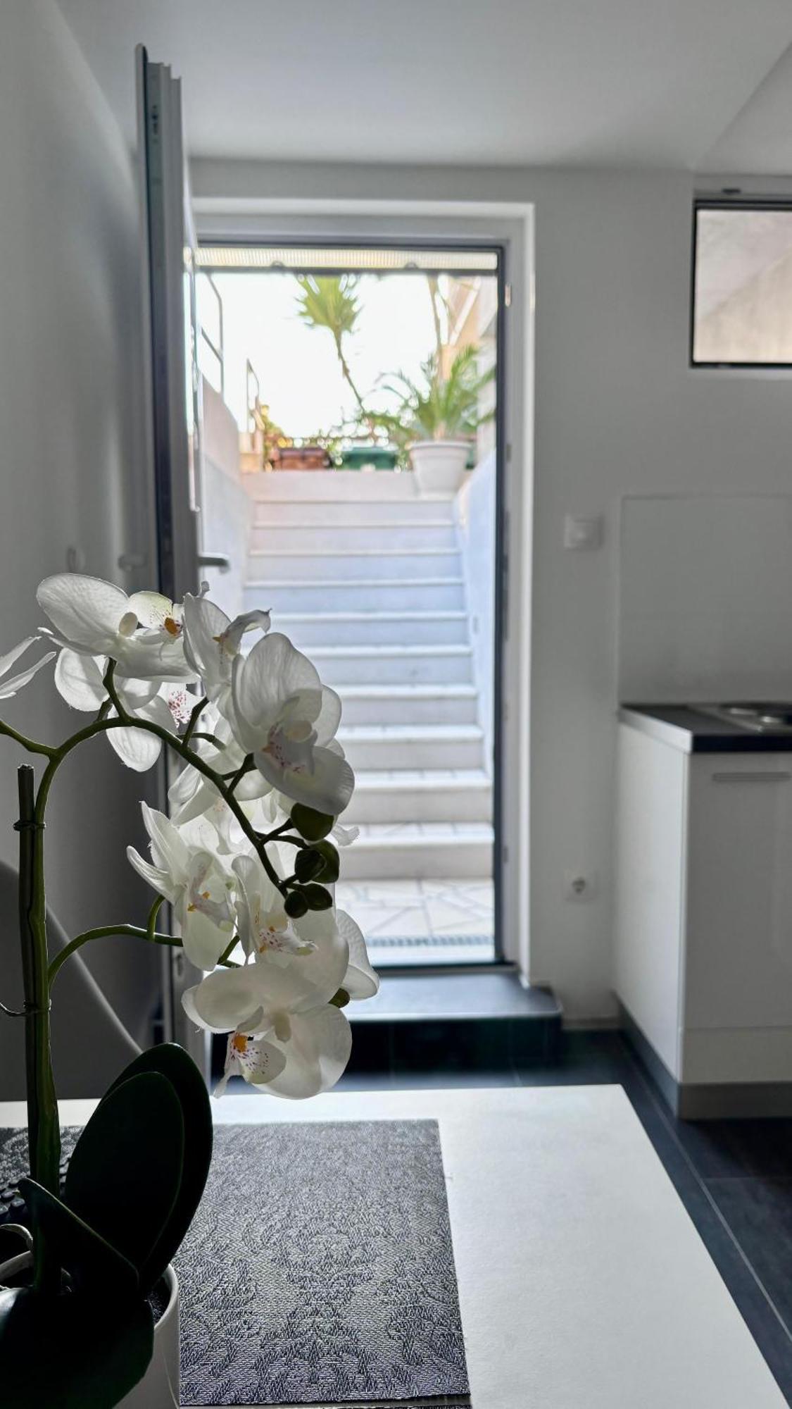 Branka *** Apartment Split