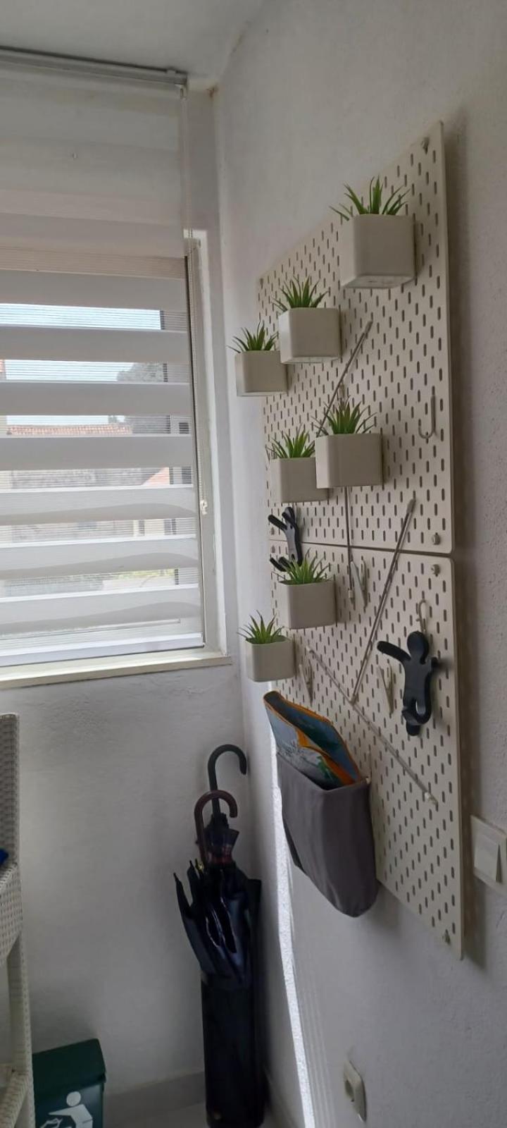 Apartment Sonja *