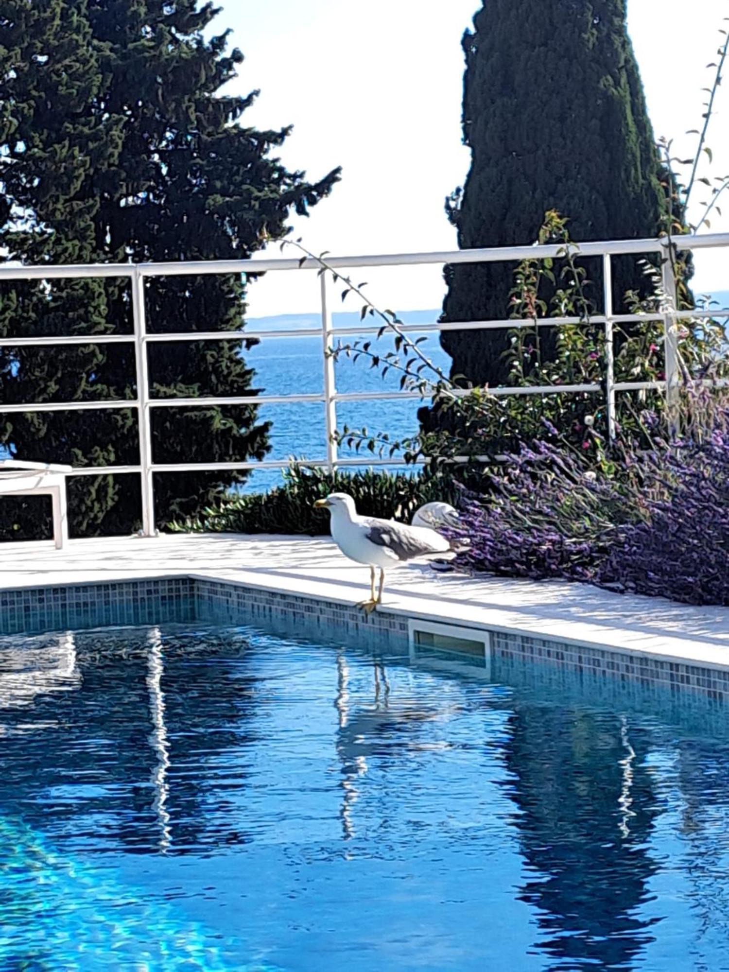 Apartamento With Private Pool *