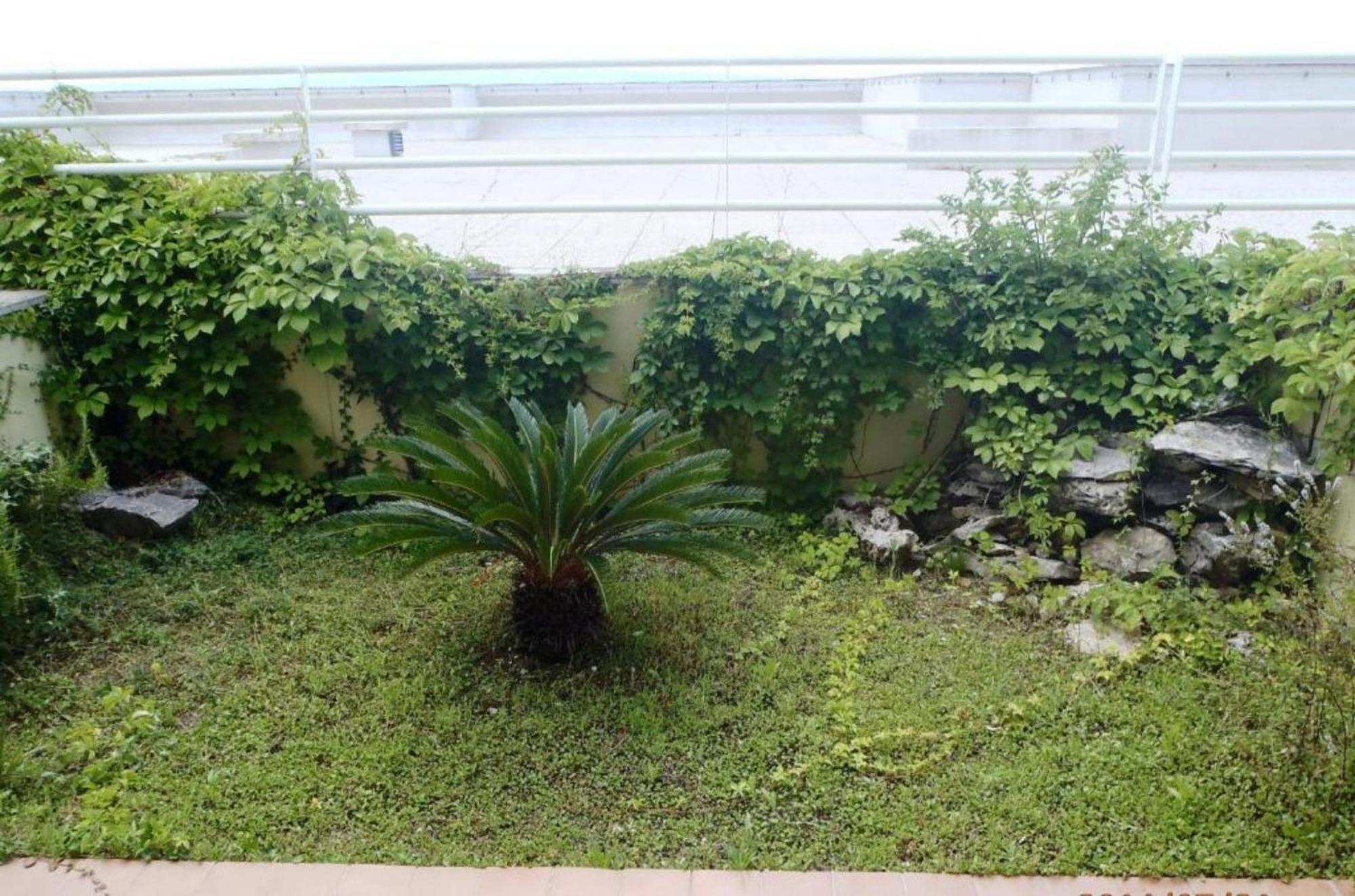Apartamento M *