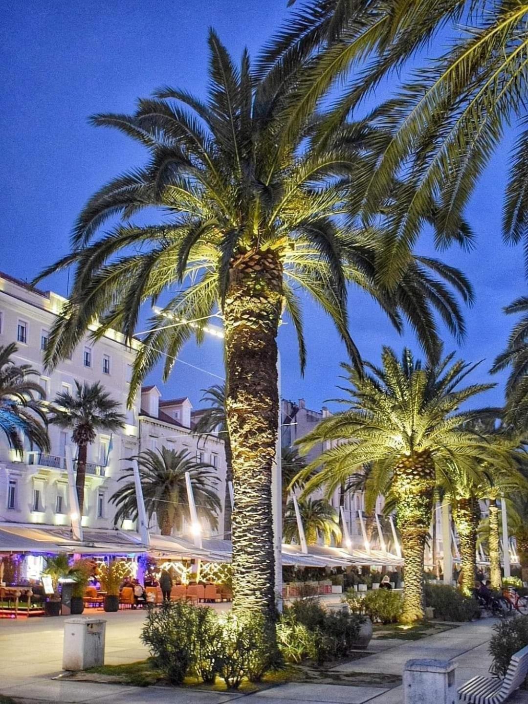 Zenta * Split