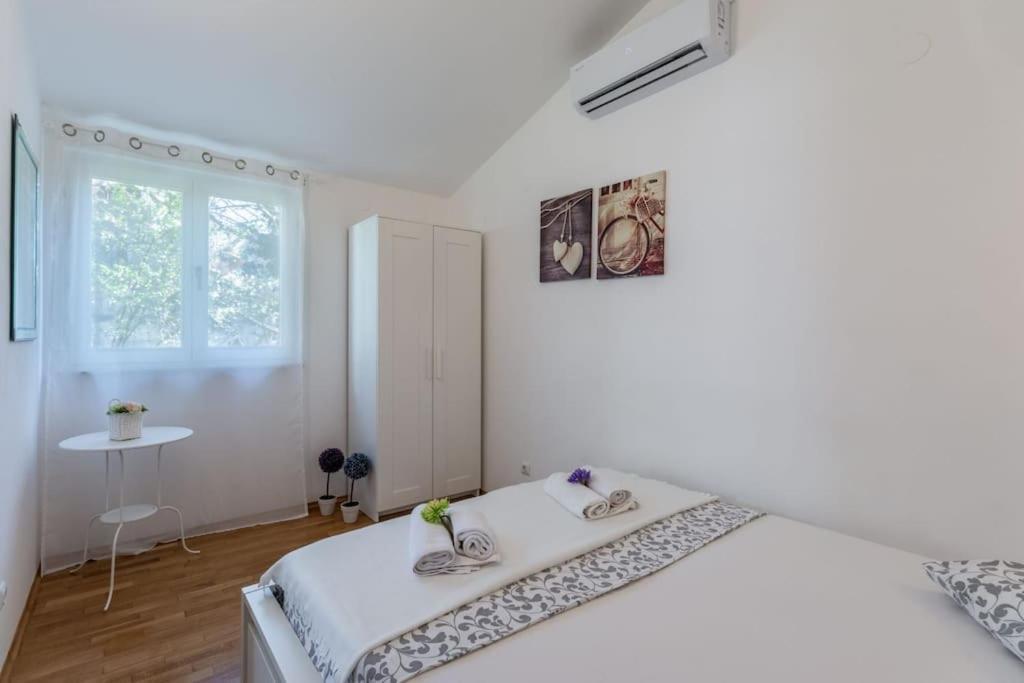 Sun House In The Centre Apartment *