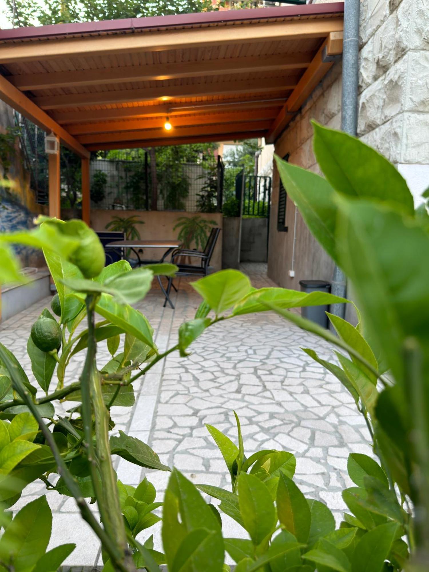 Valentinas Garden *