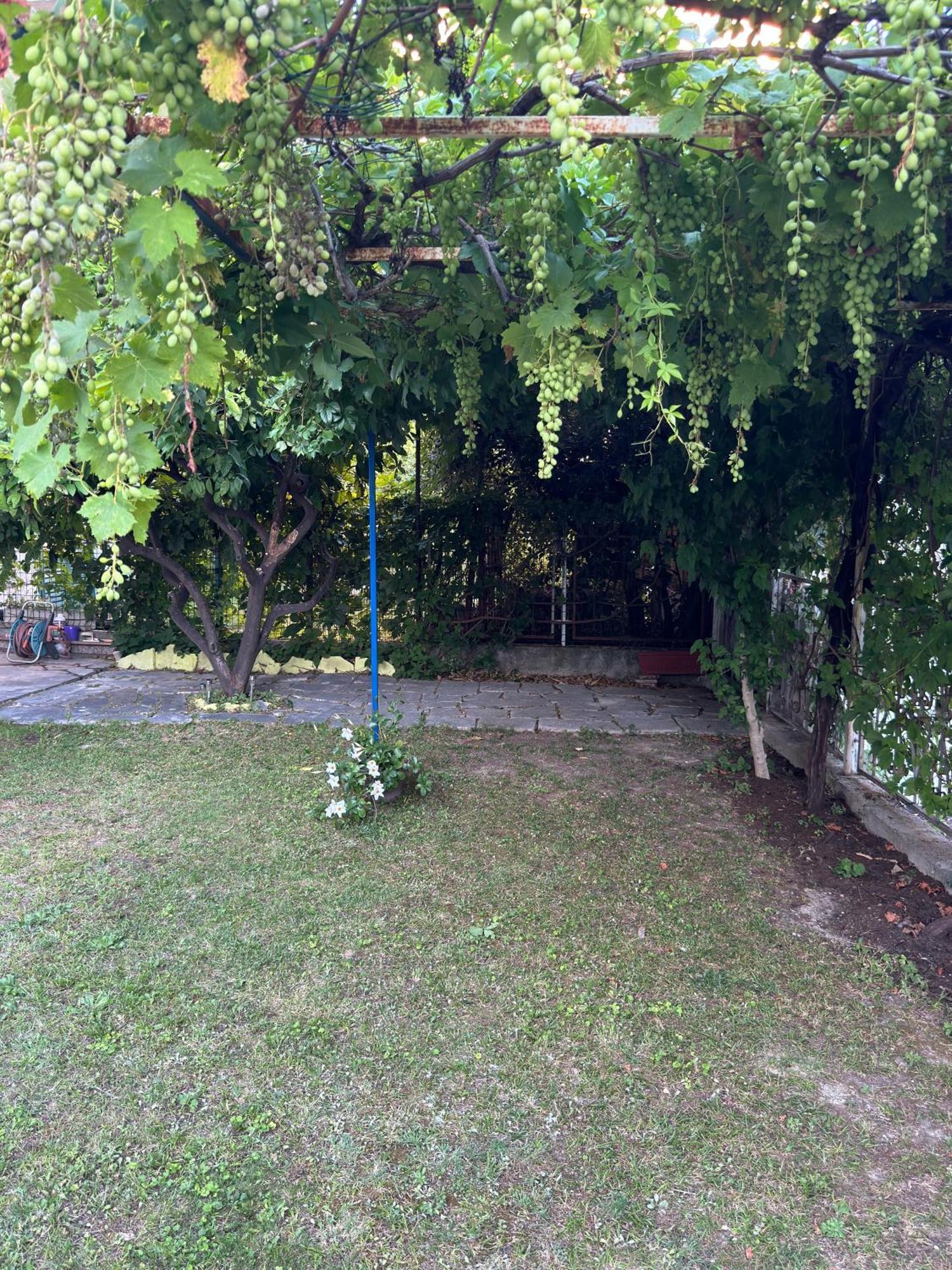 Valentinas Garden Apartment Split