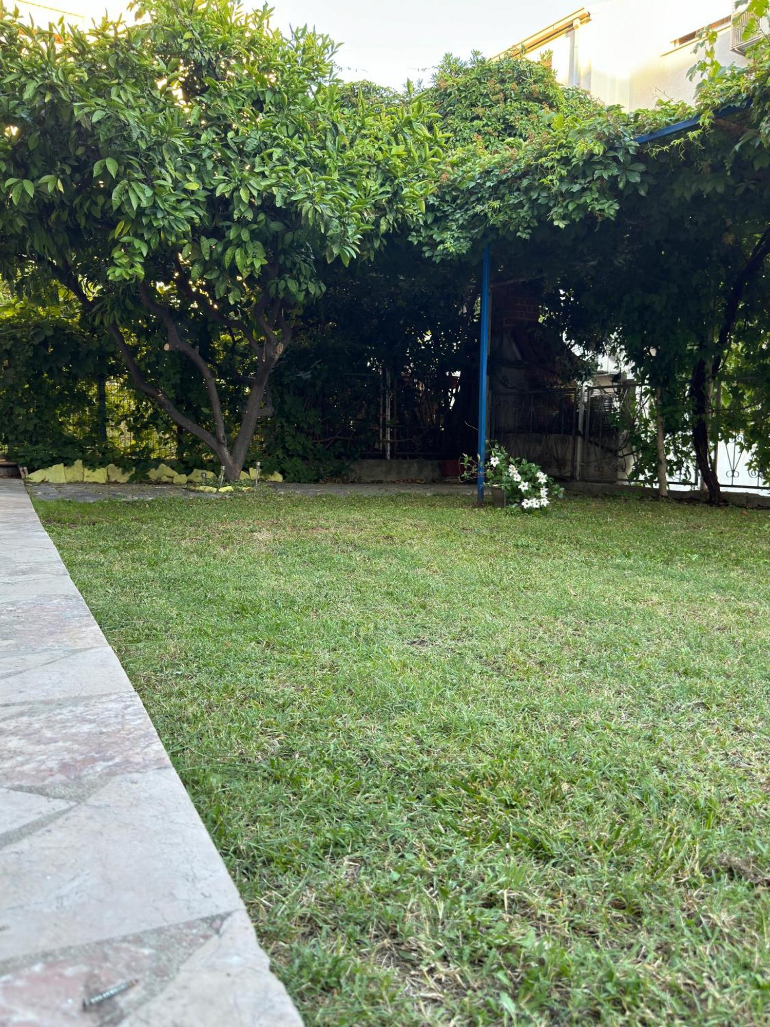 Valentinas Garden Split