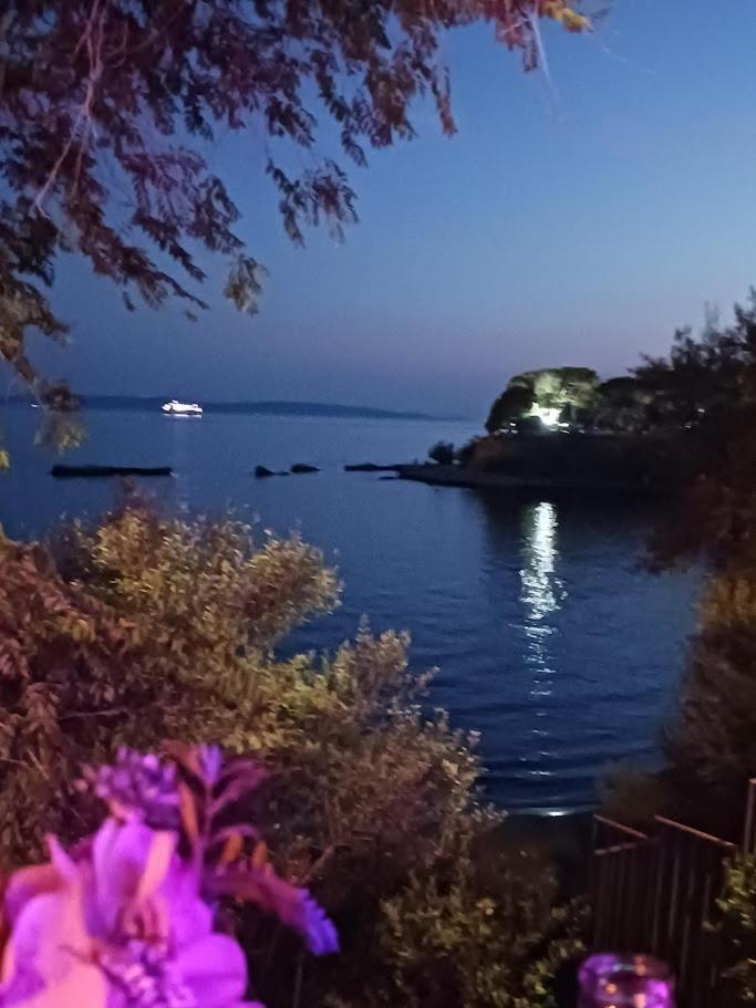 Magical View * Split