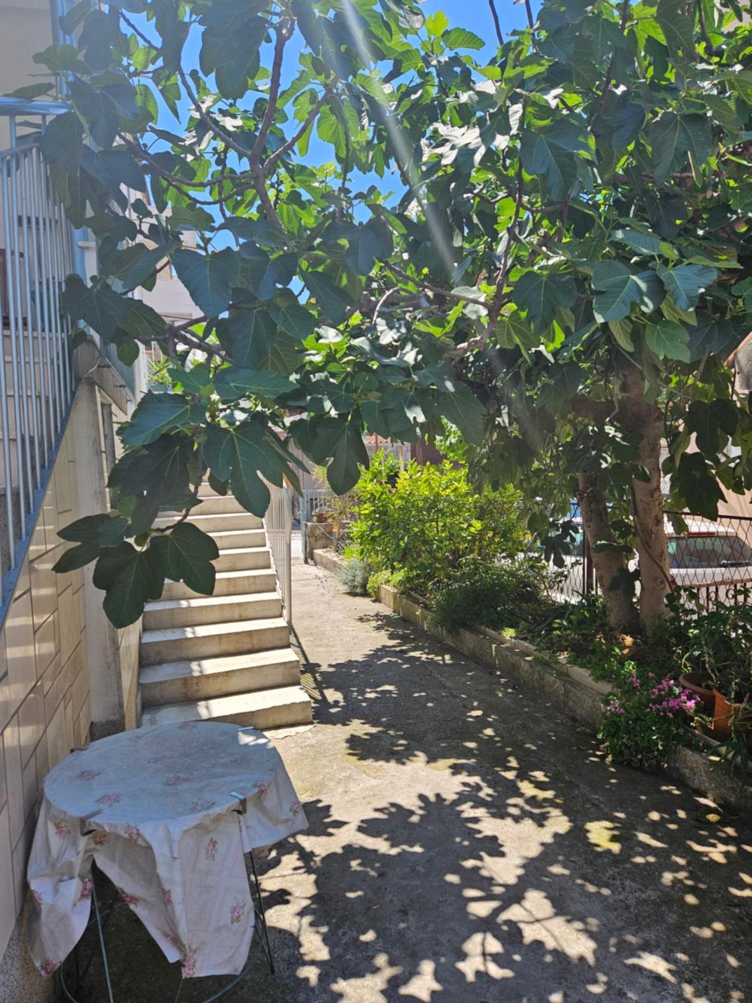 West Gate * Split