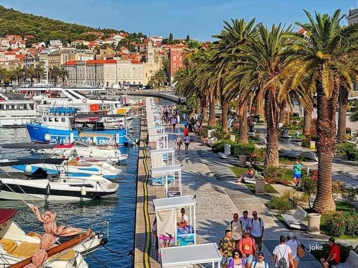 Centar Split