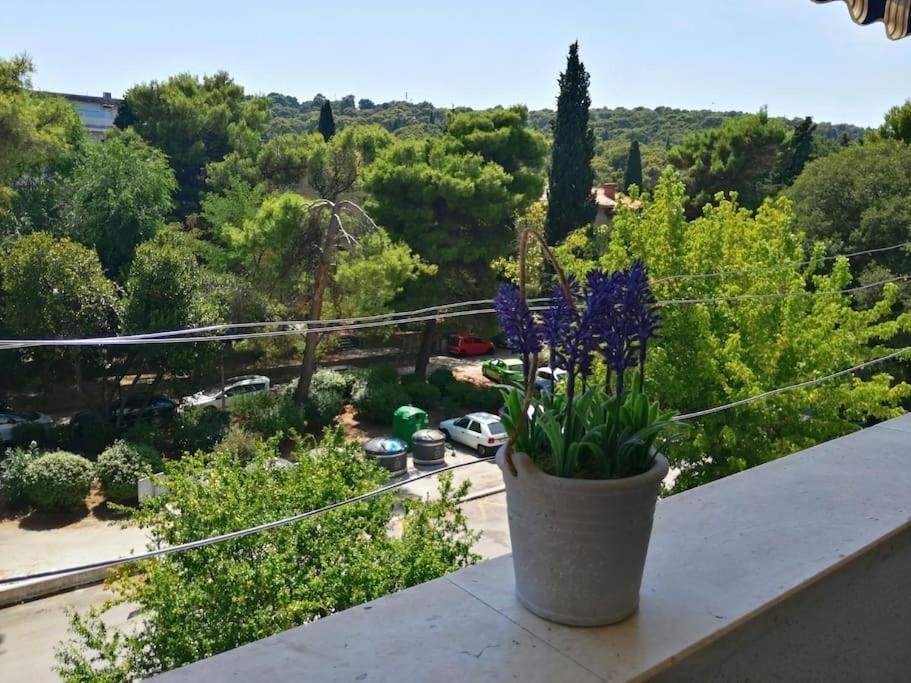 Apartment Siena *
