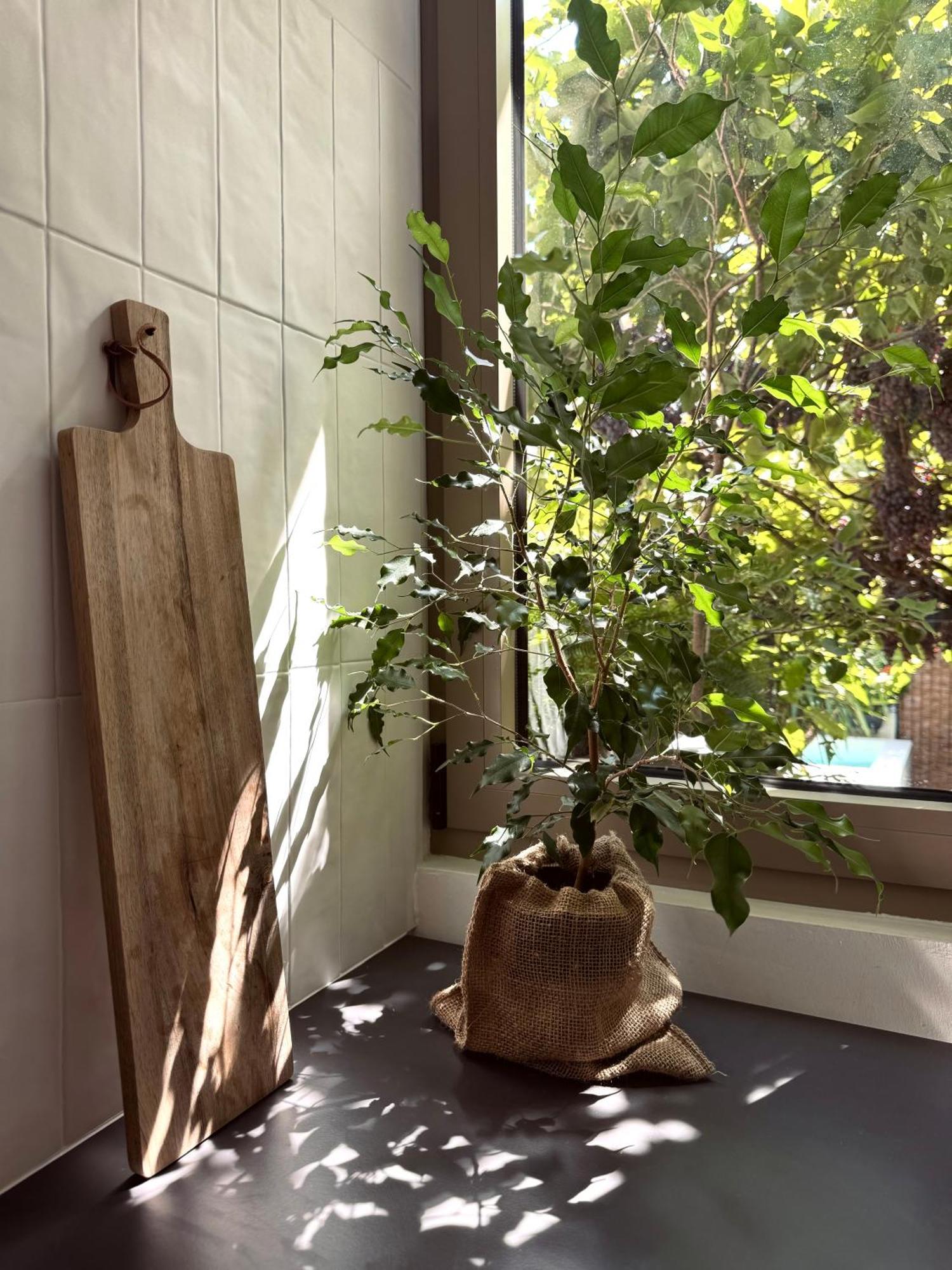 Appartement Casa Dvornik