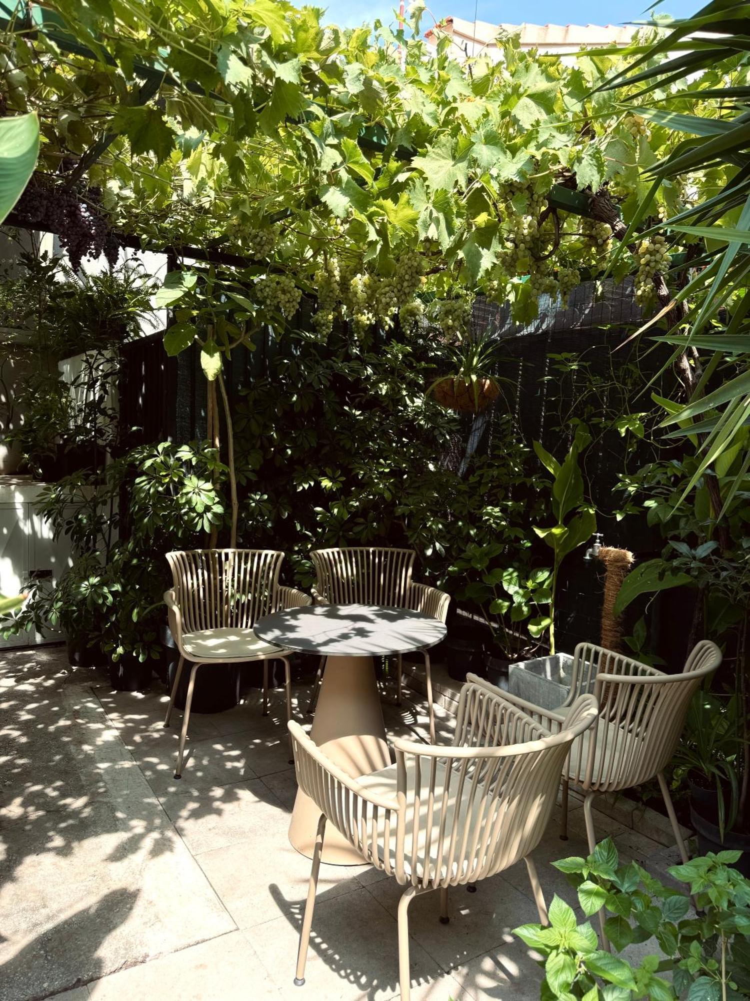 Casa Dvornik Appartement