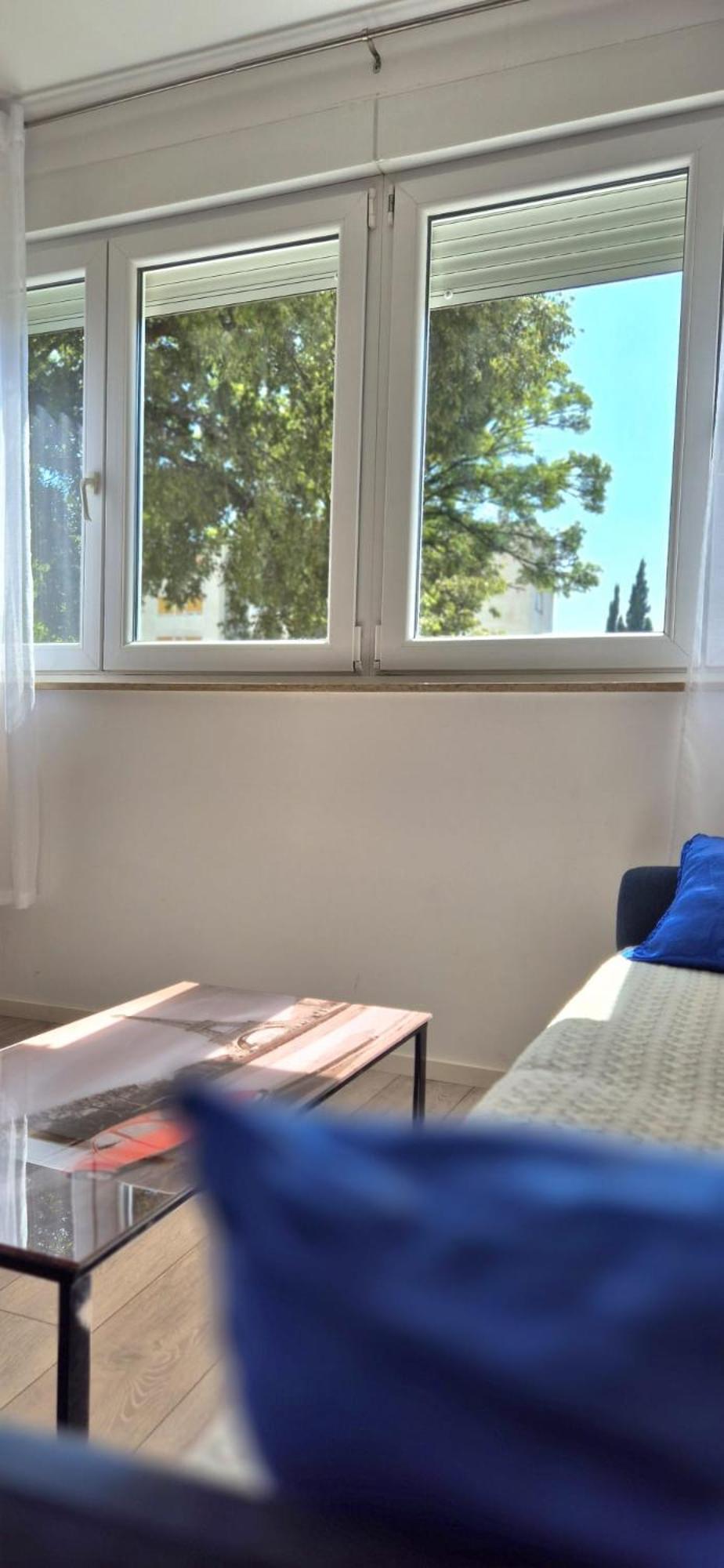 Apartment Indigo