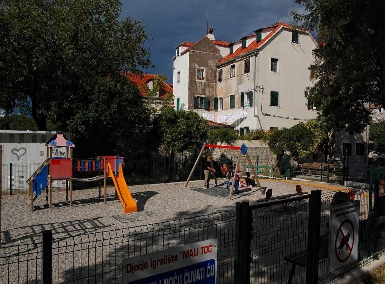 Happy Jackdaw In Center Of Split