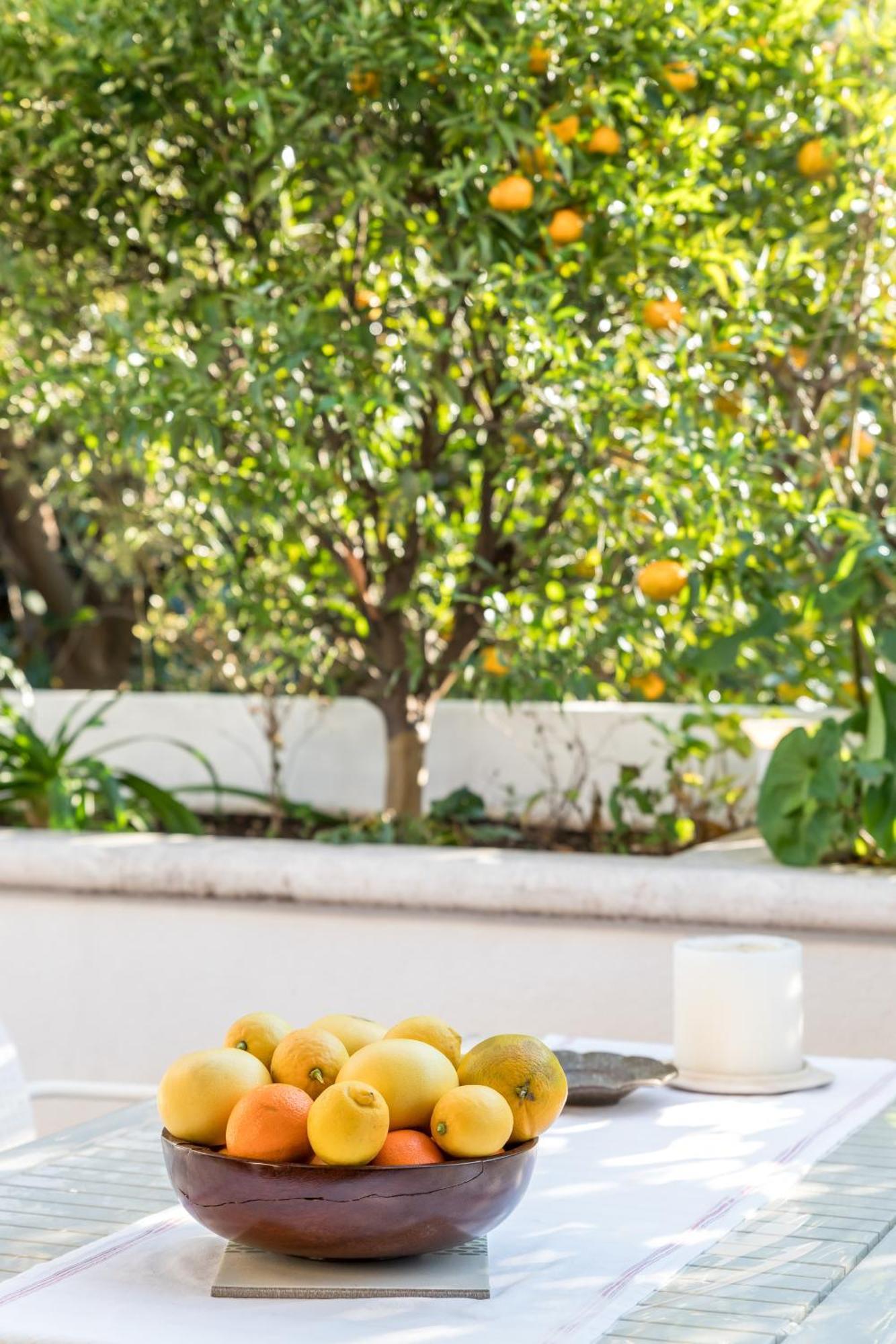 Mariuci With Lush Terrace And Private Garage Apartment