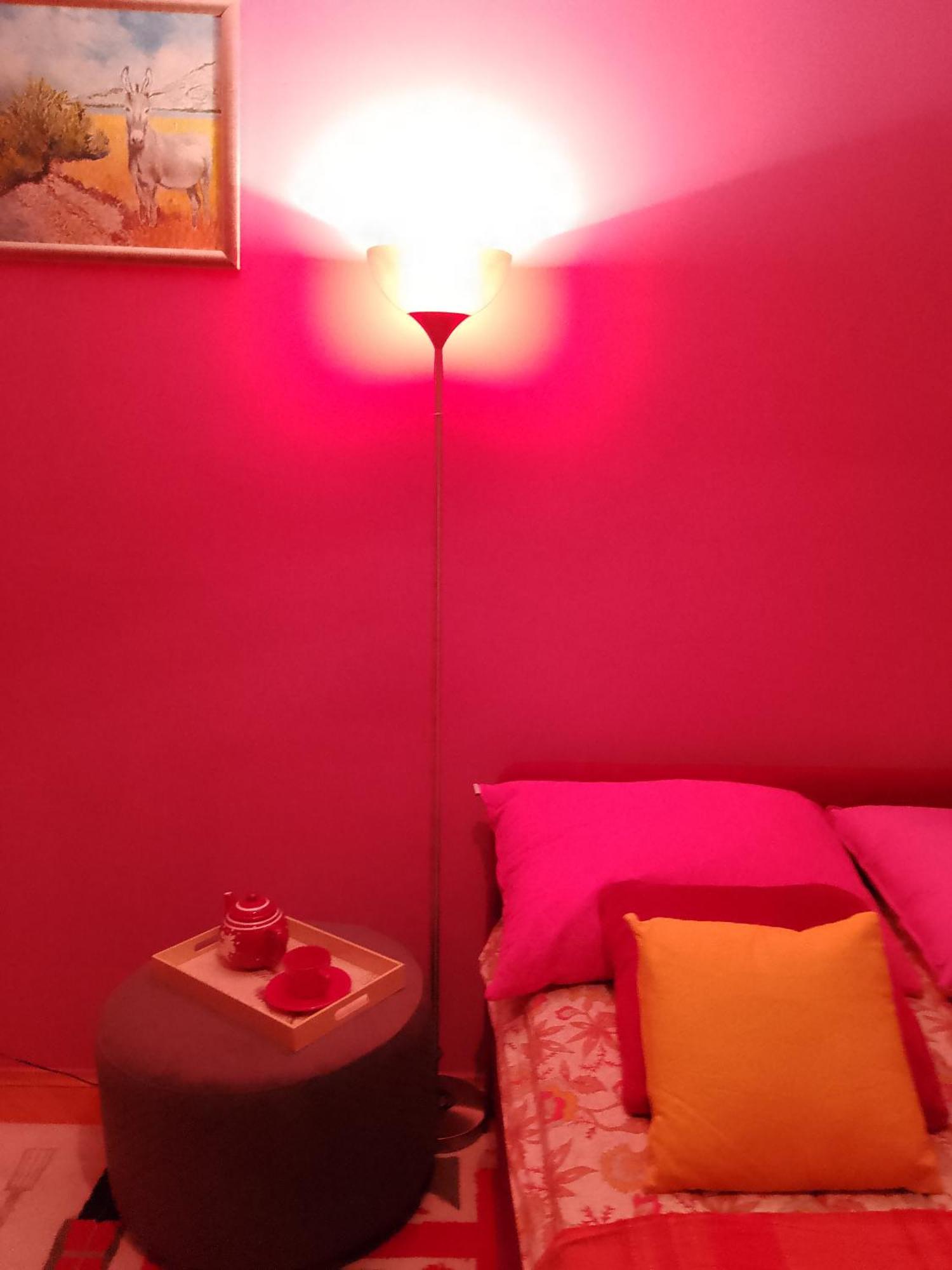 Apartment Pinky Life Split