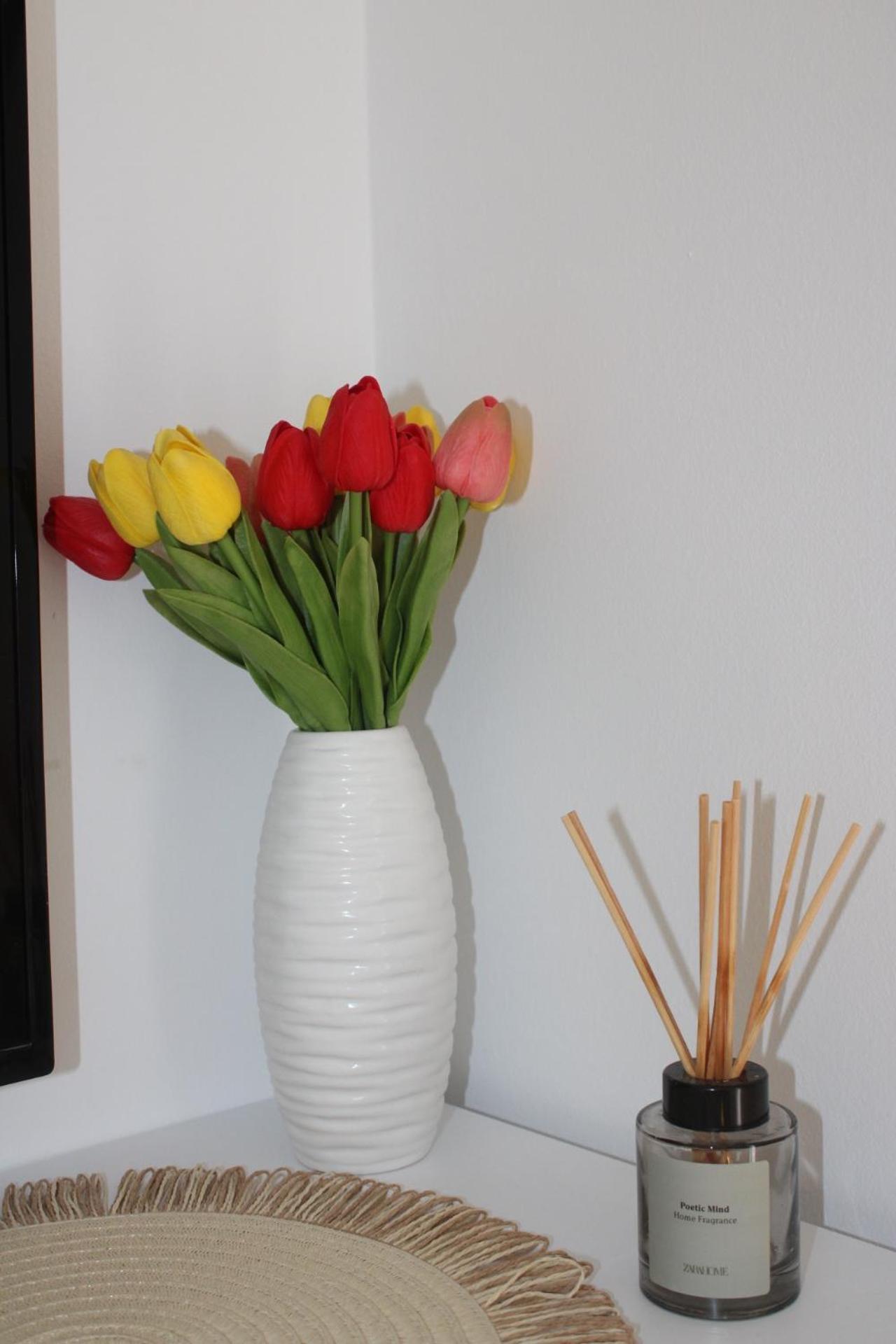Apartamento Studio Teuta *
