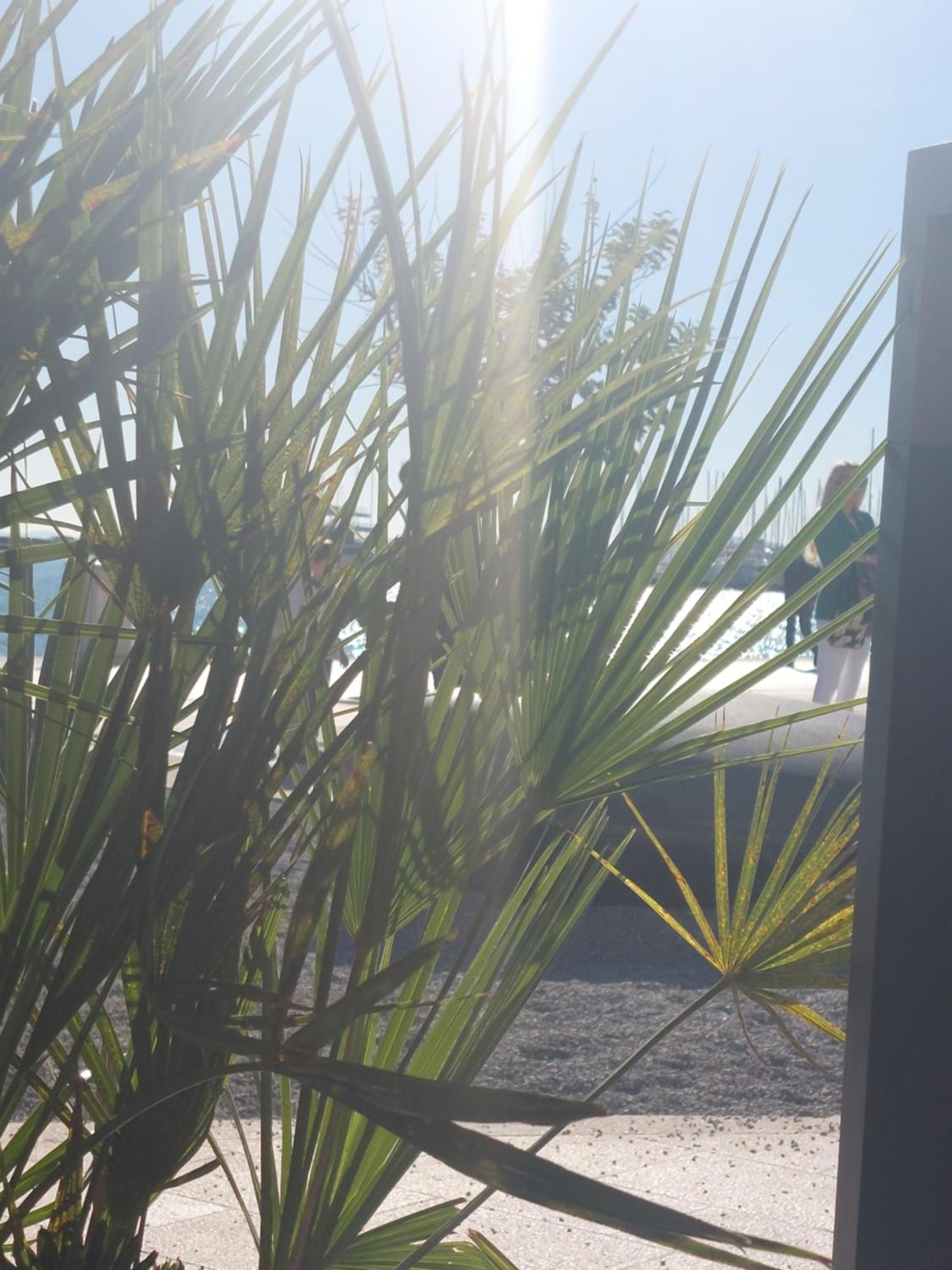 Vivito Apartment