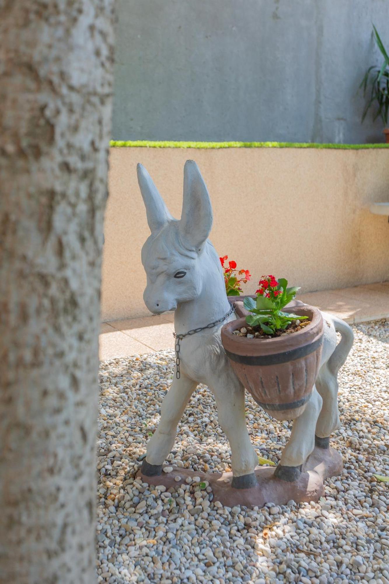New Delux Garden With Hotube **** Appartement Split